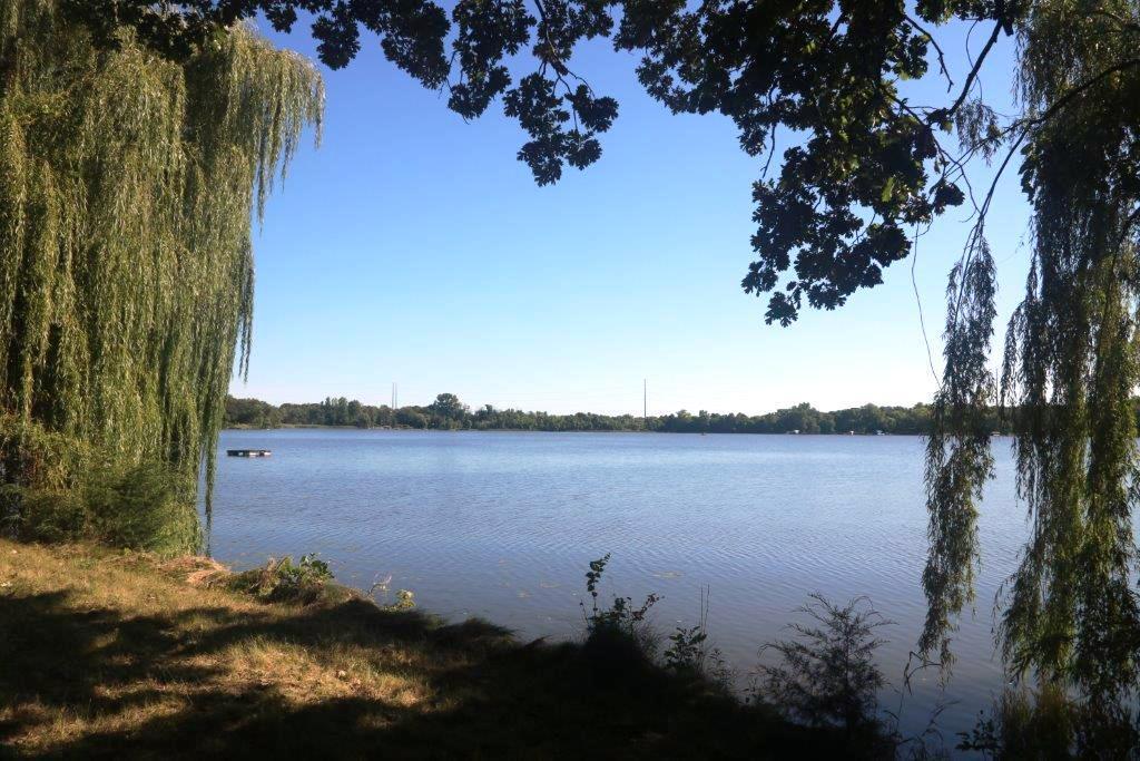 View of Residential at 15780 Griffith Avenue, Clearwater MN 55320, Clearwater (3 of 34) - Mike Wilen | Minnesota Team Real Estate