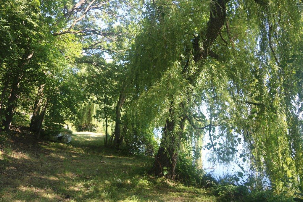 View of Residential at 15780 Griffith Avenue, Clearwater MN 55320, Clearwater (23 of 34) - Mike Wilen | Minnesota Team Real Estate