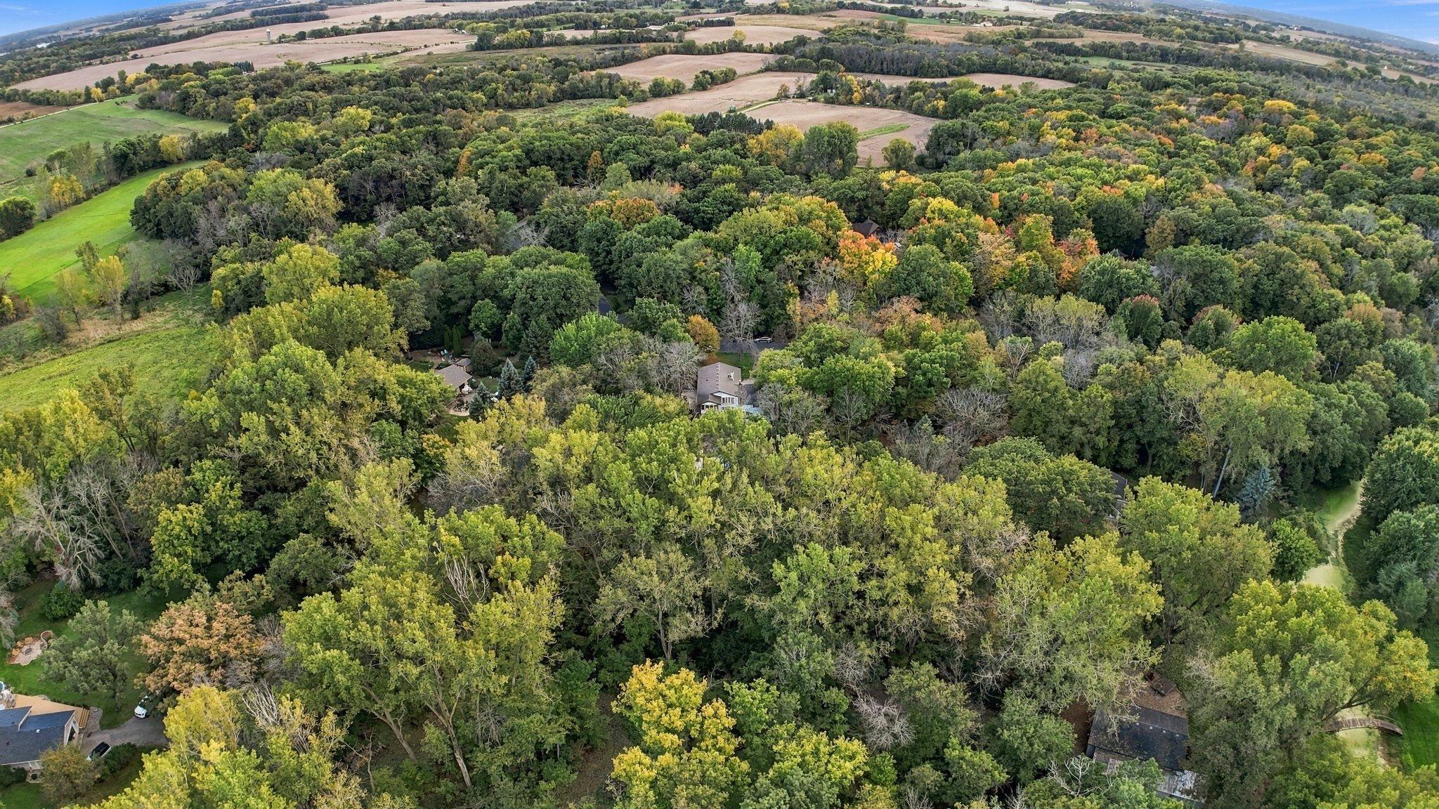 View of Residential at 2060 Bridge Spur, Shakopee MN 55379, Shakopee (46 of 56) - Mike Wilen | Minnesota Team Real Estate