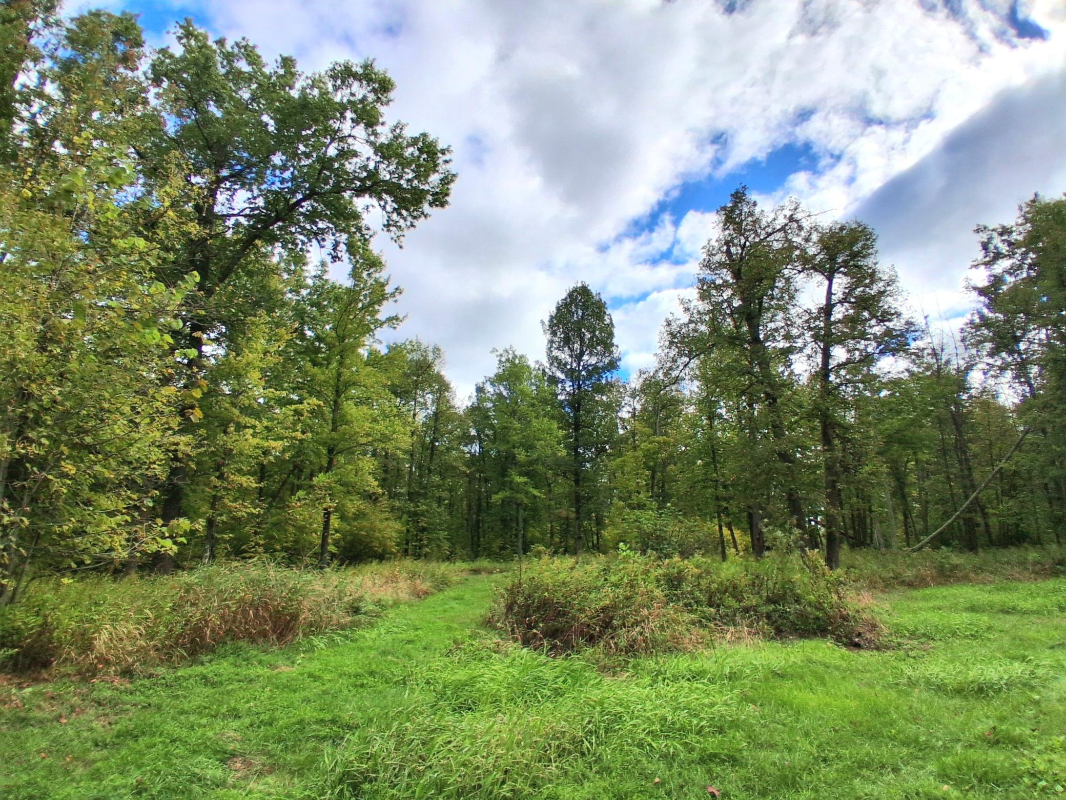 View of Land at TBD US Hwy 169, Onamia MN 56359, Onamia (2 of 24) - Mike Wilen | Minnesota Team Real Estate