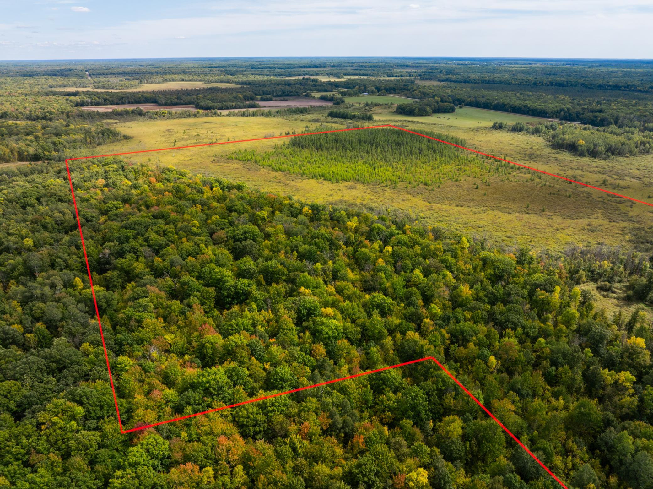 View of Land at TBD US Hwy 169, Onamia MN 56359, Onamia (12 of 24) - Mike Wilen | Minnesota Team Real Estate