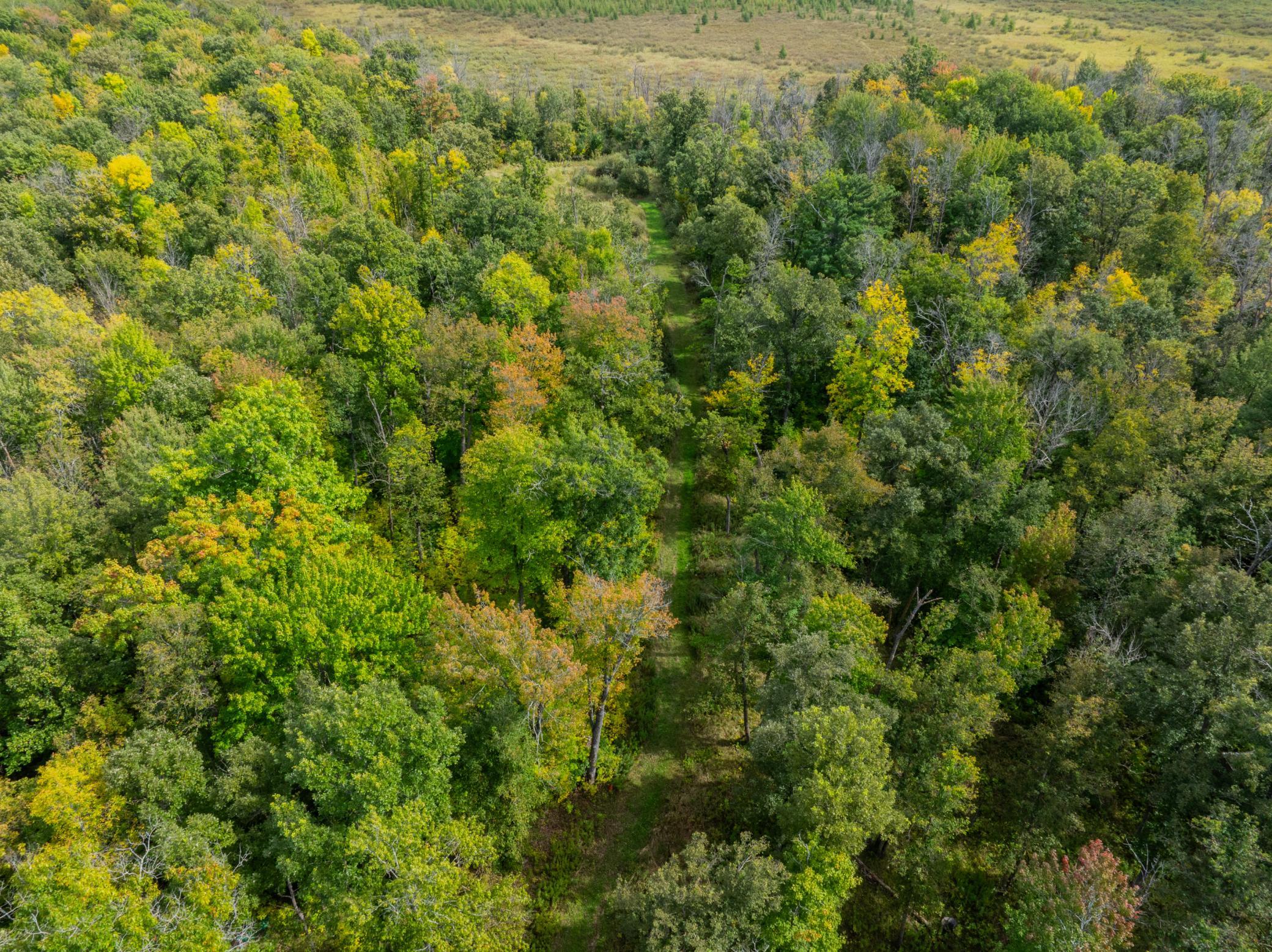 View of Land at TBD US Hwy 169, Onamia MN 56359, Onamia (24 of 24) - Mike Wilen | Minnesota Team Real Estate