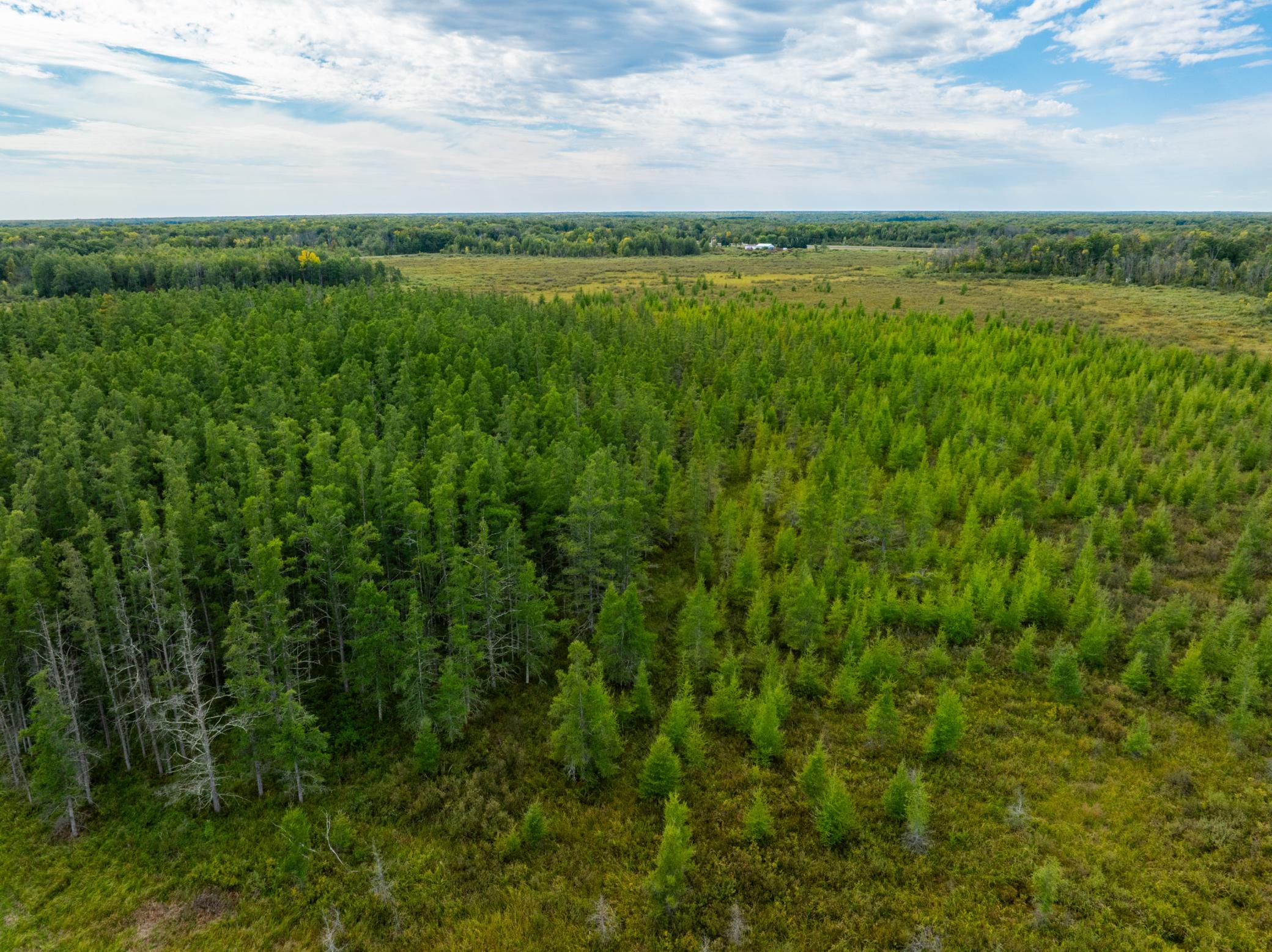View of Land at TBD US Hwy 169, Onamia MN 56359, Onamia (21 of 24) - Mike Wilen | Minnesota Team Real Estate