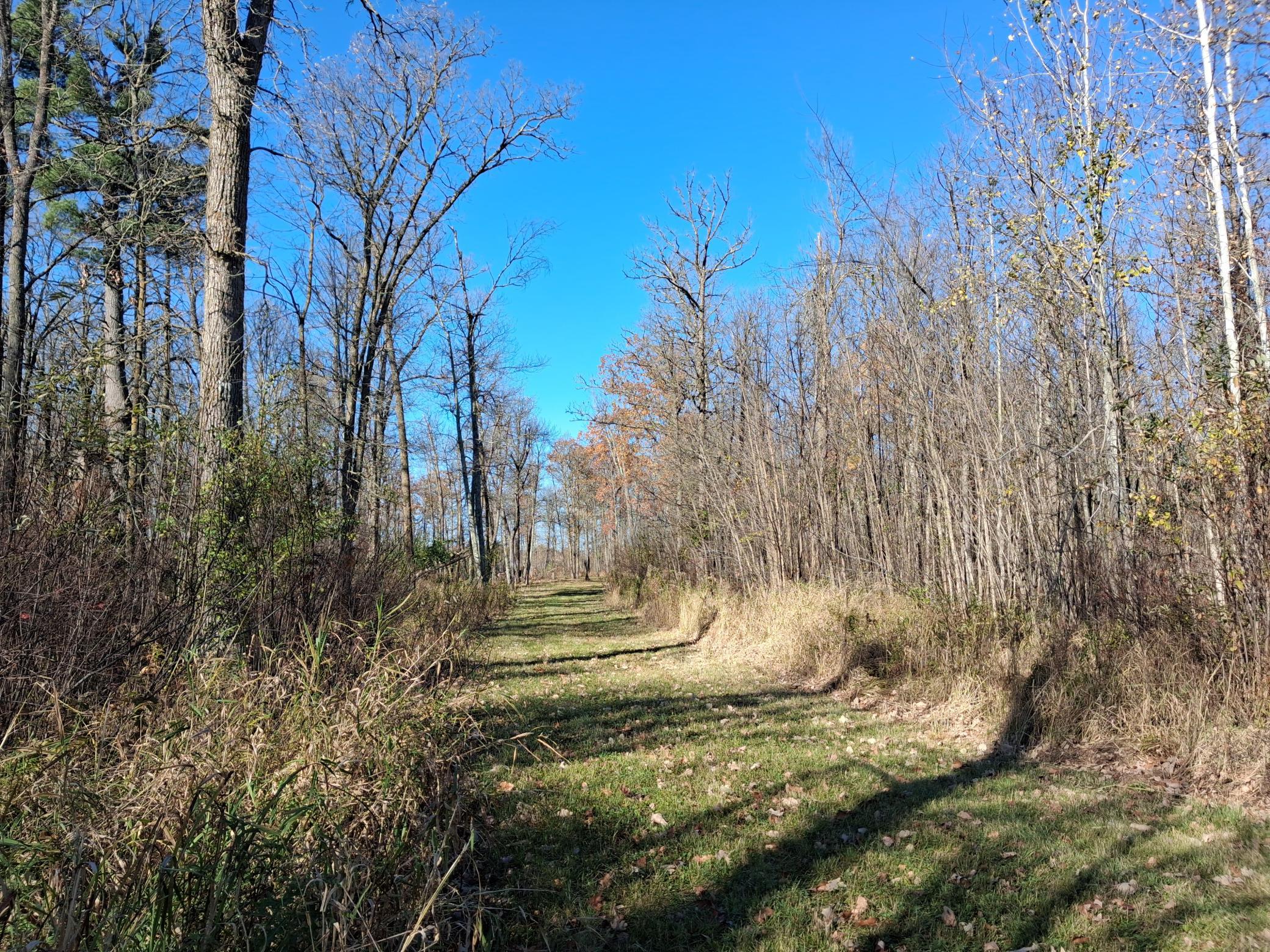 View of Land at TBD US Hwy 169, Onamia MN 56359, Onamia (33 of 36) - Mike Wilen | Minnesota Team Real Estate