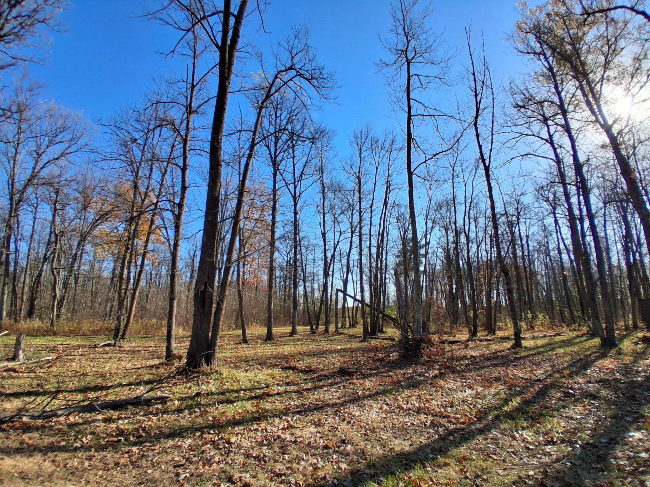 View of Land at TBD US Hwy 169, Onamia MN 56359, Onamia (29 of 36) - Mike Wilen | Minnesota Team Real Estate