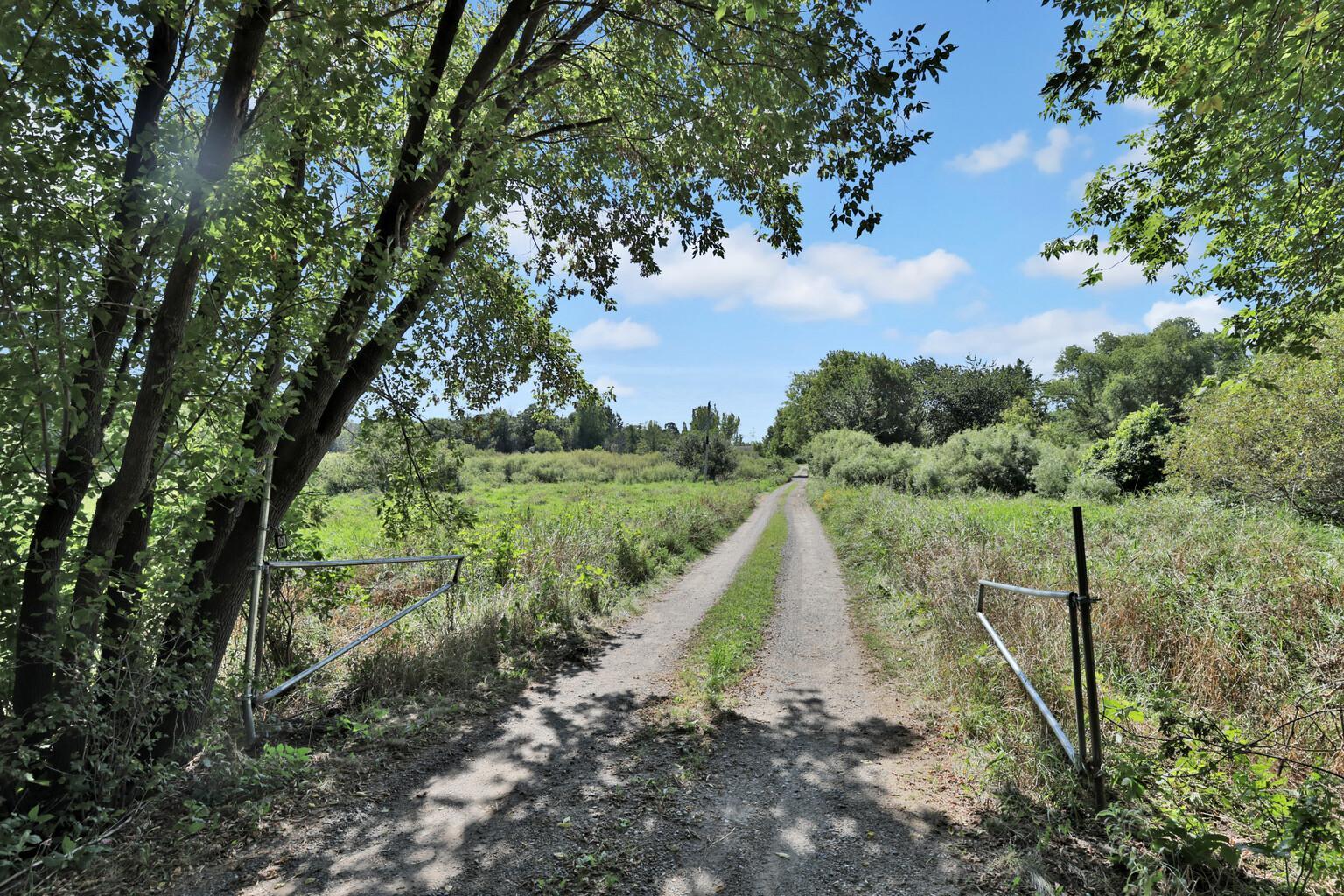 View of Single Family at 15573 209th Avenue, Elk River - Mike Wilen | Minnesota Team Real Estate