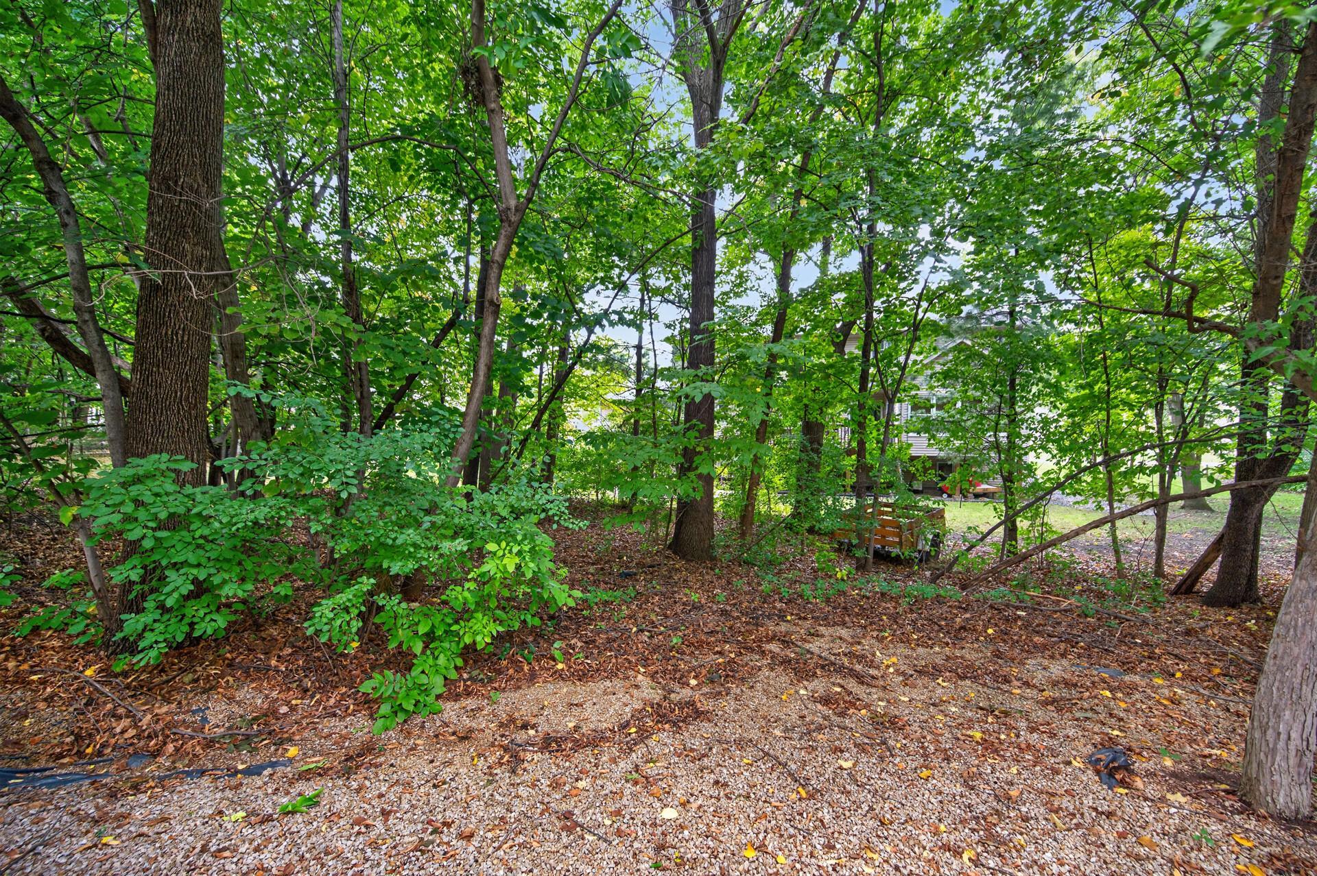 View of Residential at 8011 Everest Lane, Maple Grove MN 55311, Maple Grove (23 of 25) - Mike Wilen | Minnesota Team Real Estate