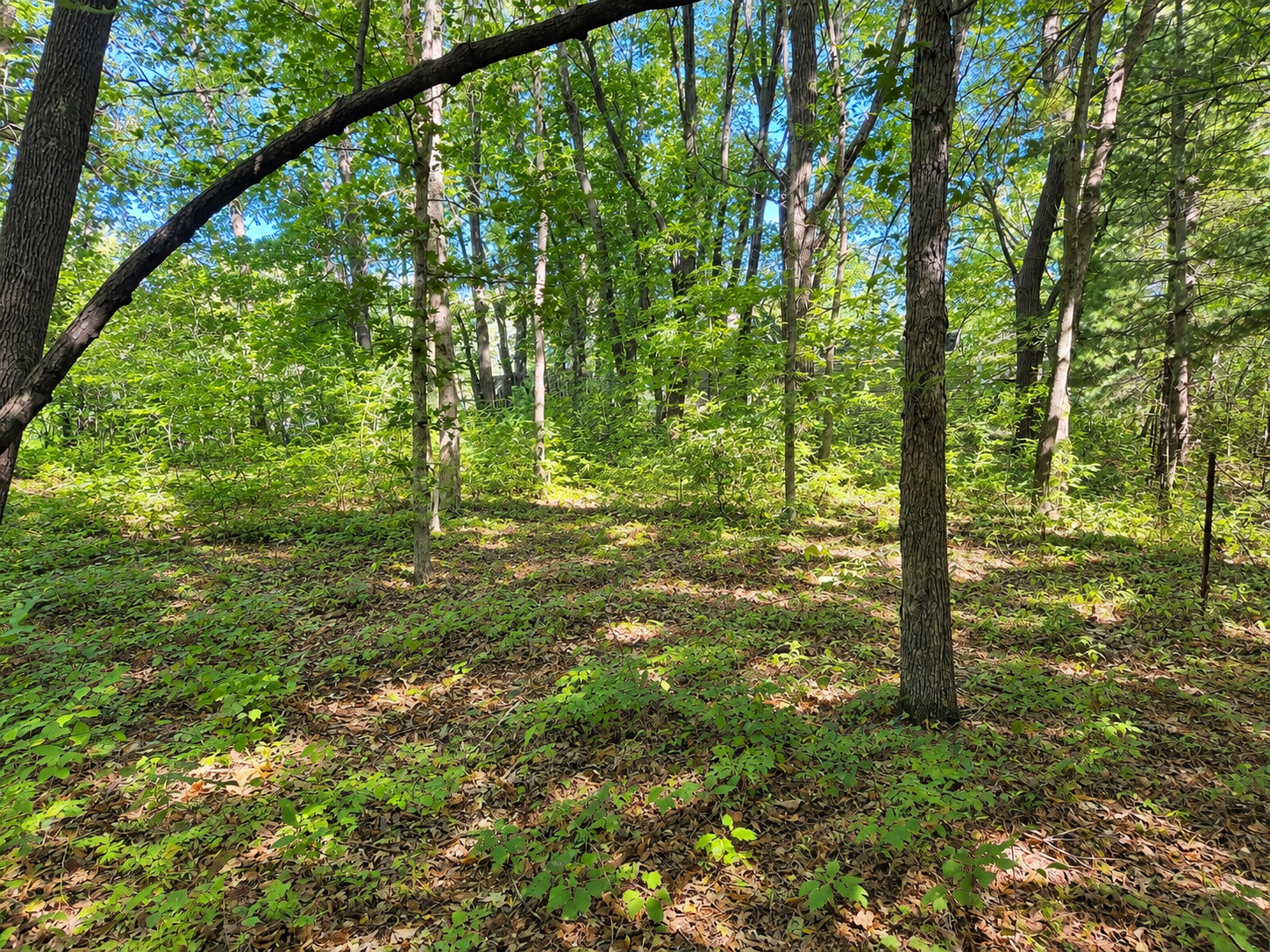 View of Residential Lot at TBD 120th Street, Zimmerman - Mike Wilen | Minnesota Team Real Estate