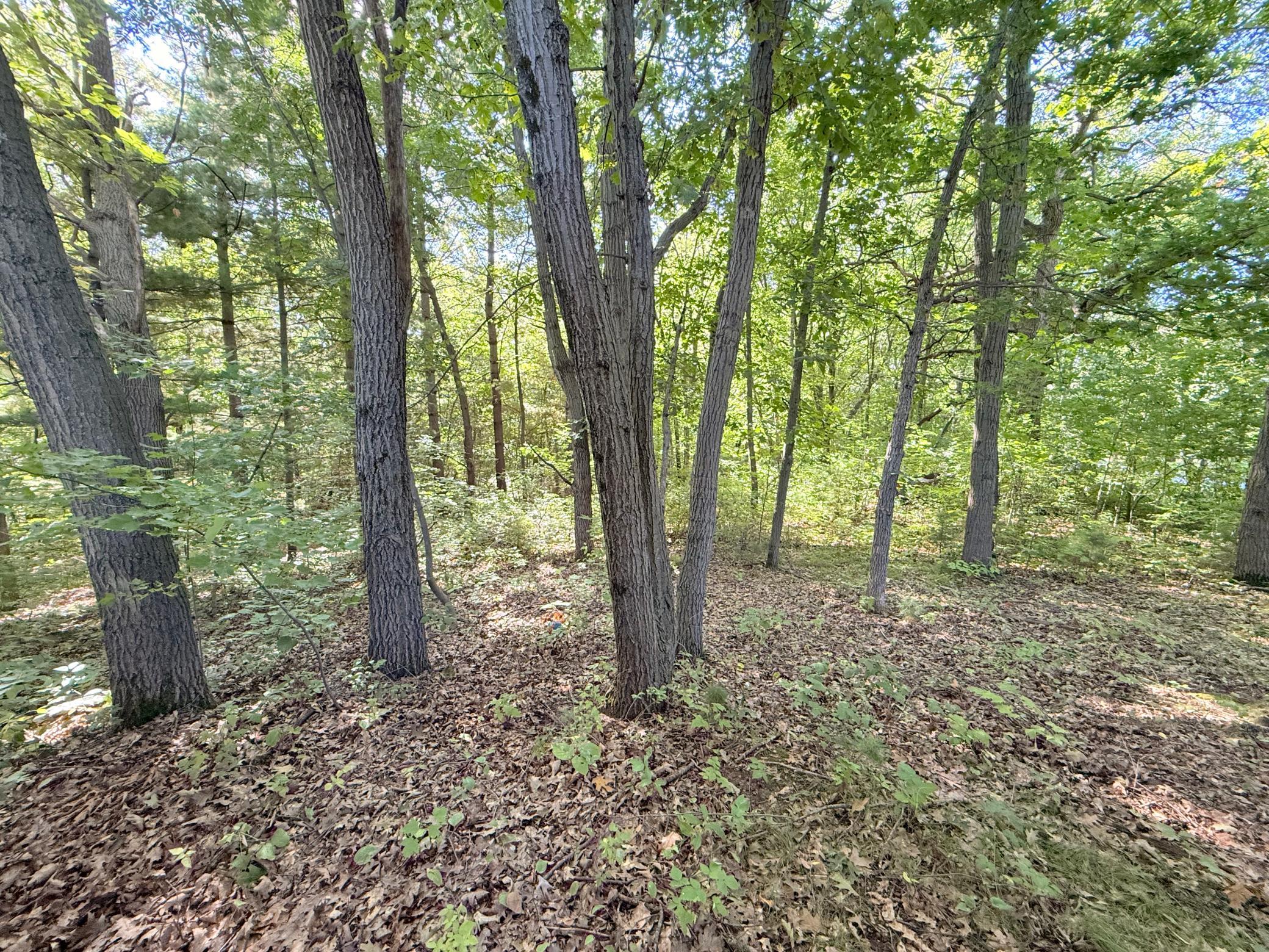 View of Land at TBD 120th Street, Zimmerman MN 55398, Zimmerman (3 of 4) - Mike Wilen | Minnesota Team Real Estate