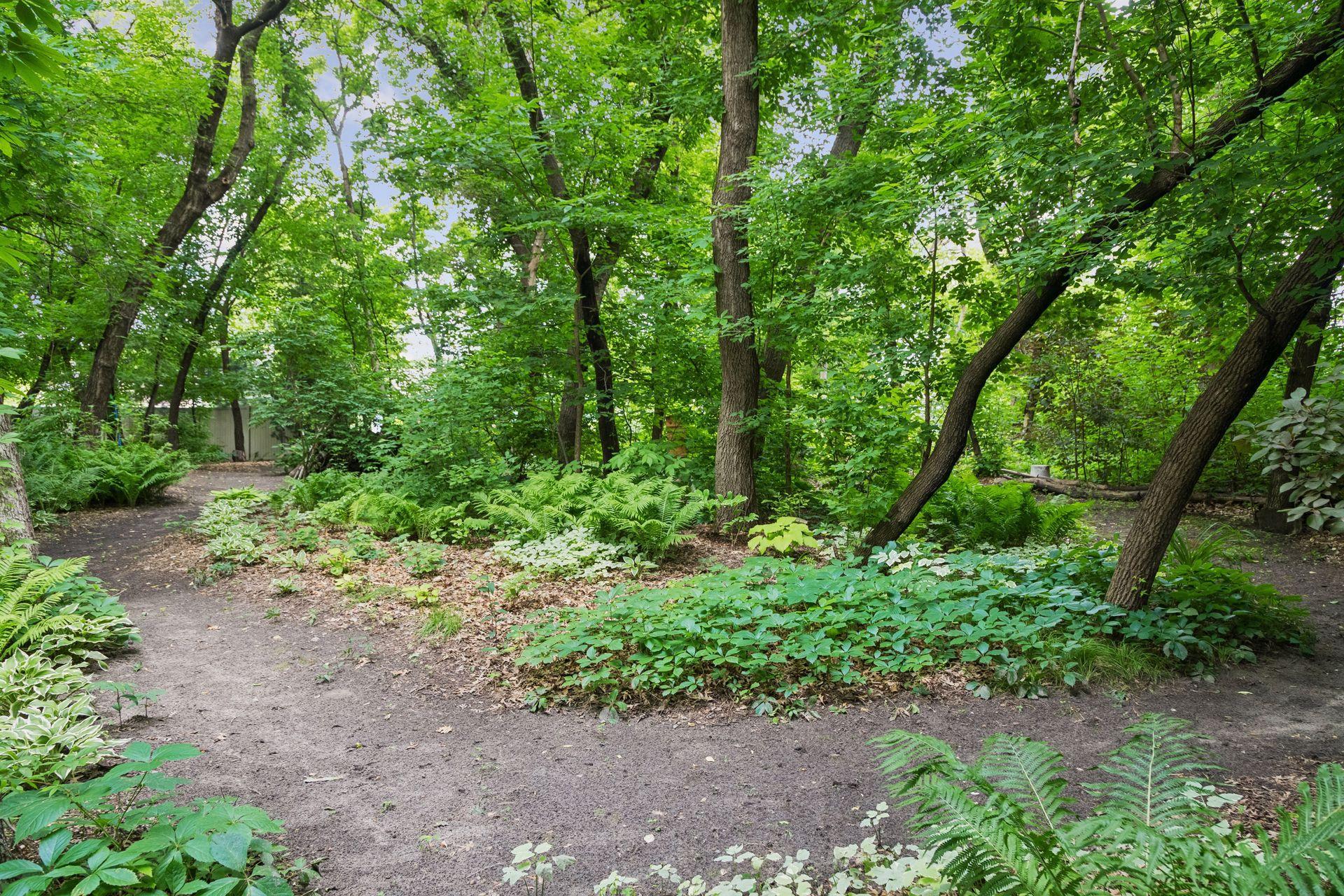 View of Residential at 12213 Kenyon Court, Blaine MN 55449, Blaine (32 of 37) - Mike Wilen | Minnesota Team Real Estate
