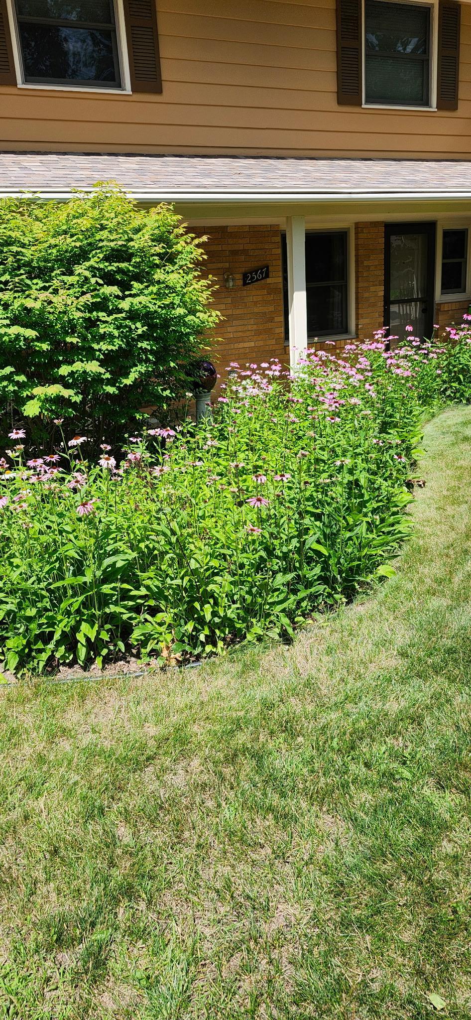 View of Residential at 2567 Orchard Lane, White Bear Lake MN 55110, White Bear Lake (26 of 28) - Mike Wilen | Minnesota Team Real Estate