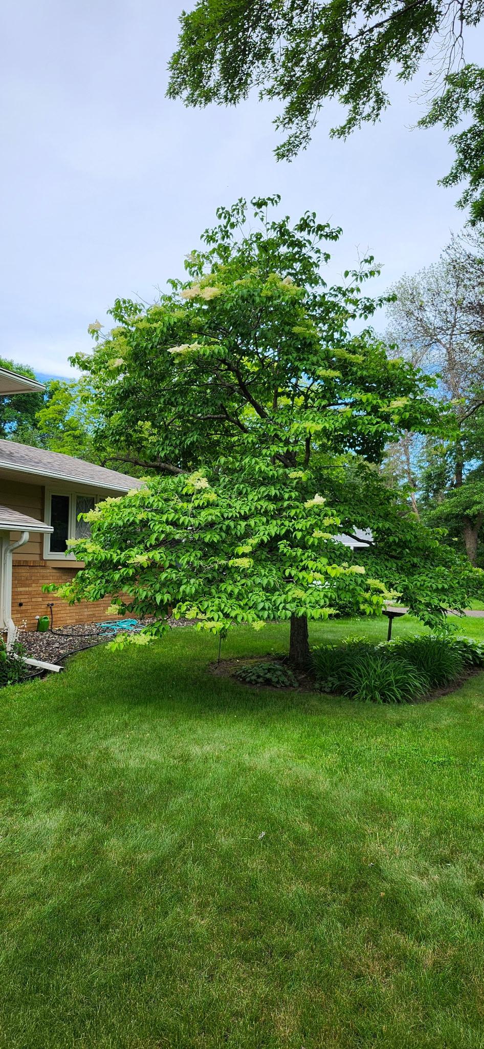 View of Residential at 2567 Orchard Lane, White Bear Lake MN 55110, White Bear Lake (25 of 28) - Mike Wilen | Minnesota Team Real Estate