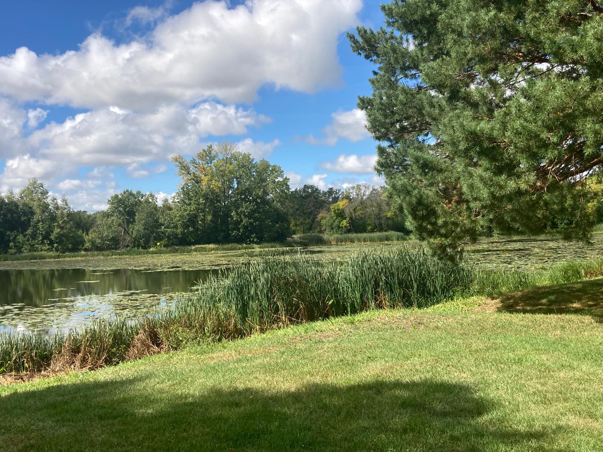 View of Residential at 9981 106th Place, Maple Grove MN 55369, Maple Grove (74 of 79) - Mike Wilen | Minnesota Team Real Estate