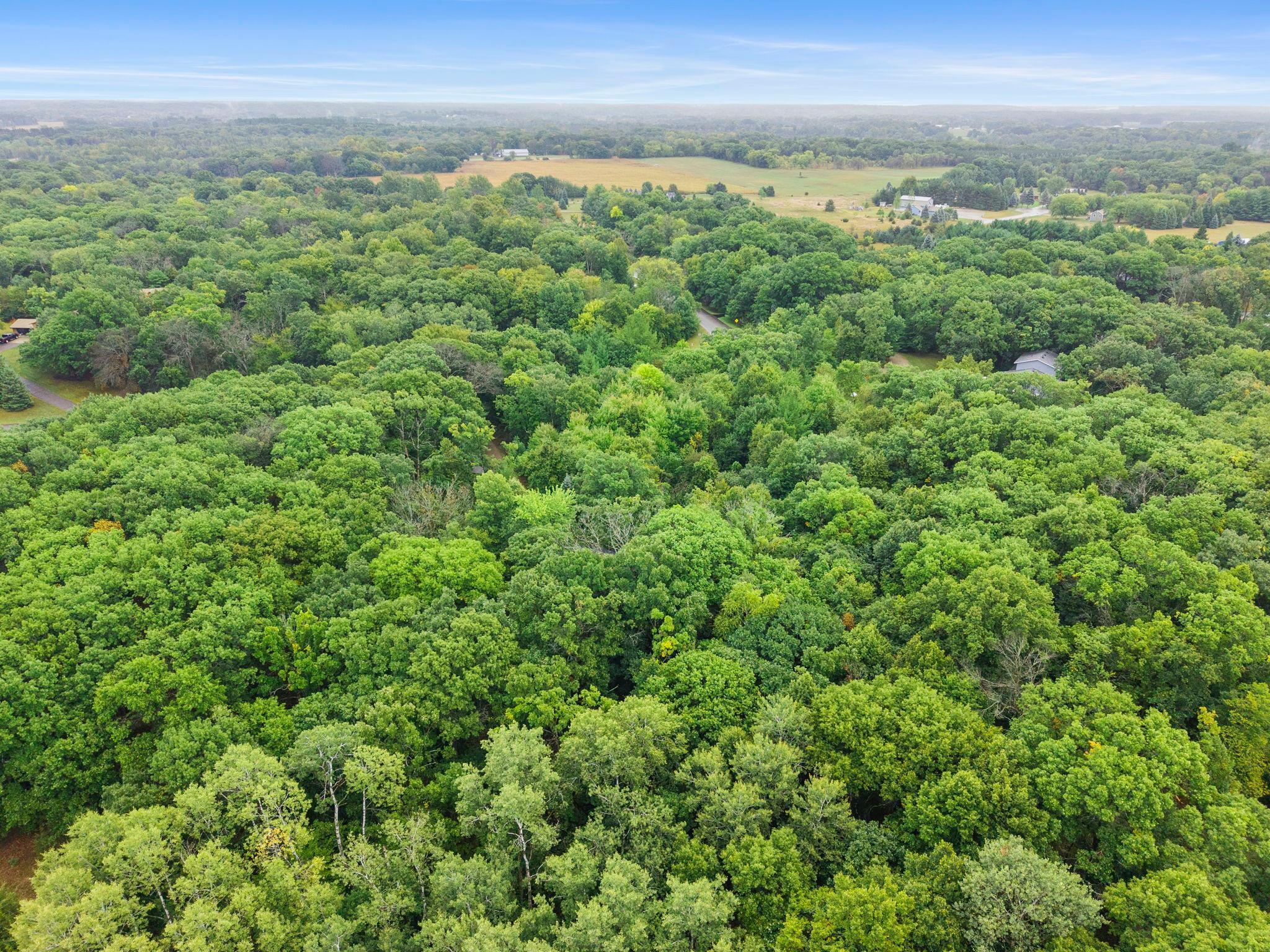 View of Residential at 25020 140th Street, Zimmerman MN 55398, Zimmerman (62 of 75) - Mike Wilen | Minnesota Team Real Estate