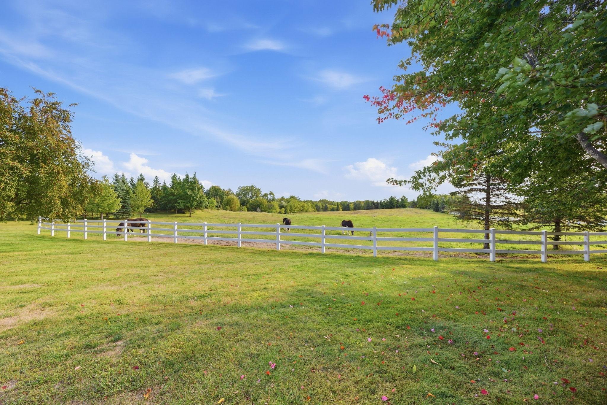 View of Residential at 3995 Eckert Avenue, Delano MN 55328, Delano (43 of 54) - Mike Wilen | Minnesota Team Real Estate