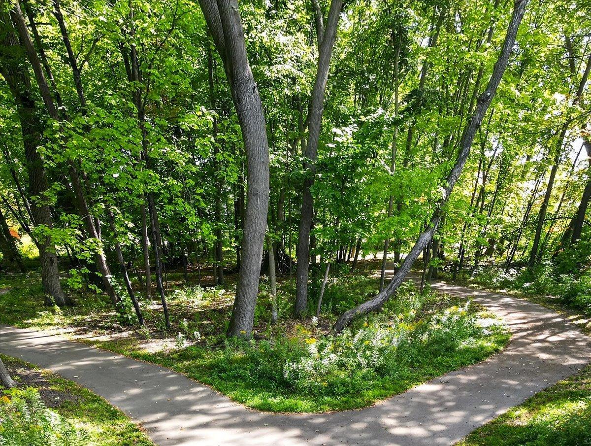 View of Residential at 17250 47th Avenue, Plymouth MN 55446, Plymouth (44 of 48) - Mike Wilen | Minnesota Team Real Estate