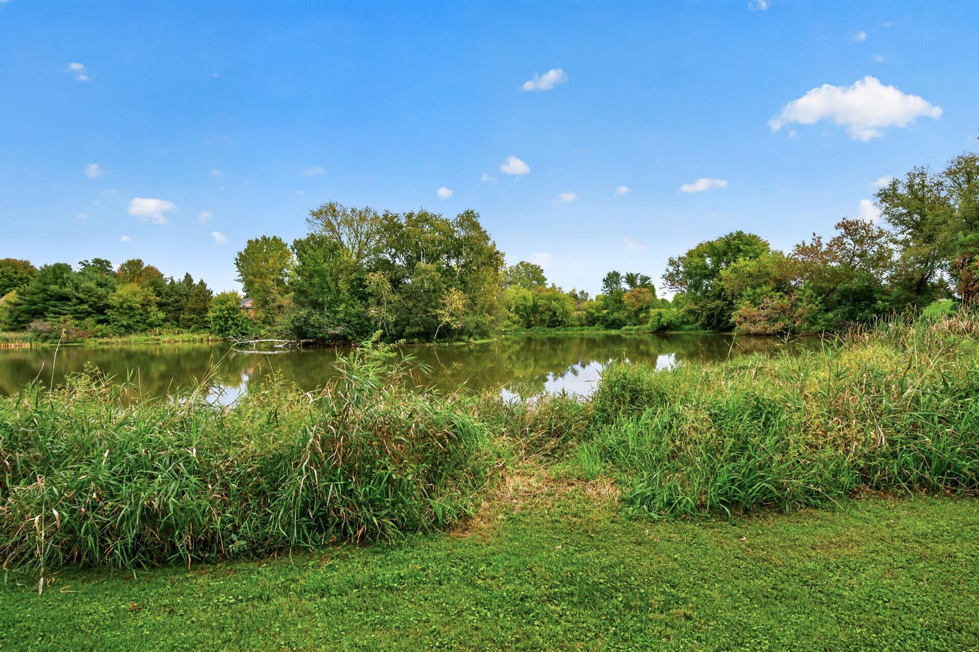 View of Residential at 27163 Ironwood Court, Chisago City MN 55013, Chisago City (36 of 40) - Mike Wilen | Minnesota Team Real Estate