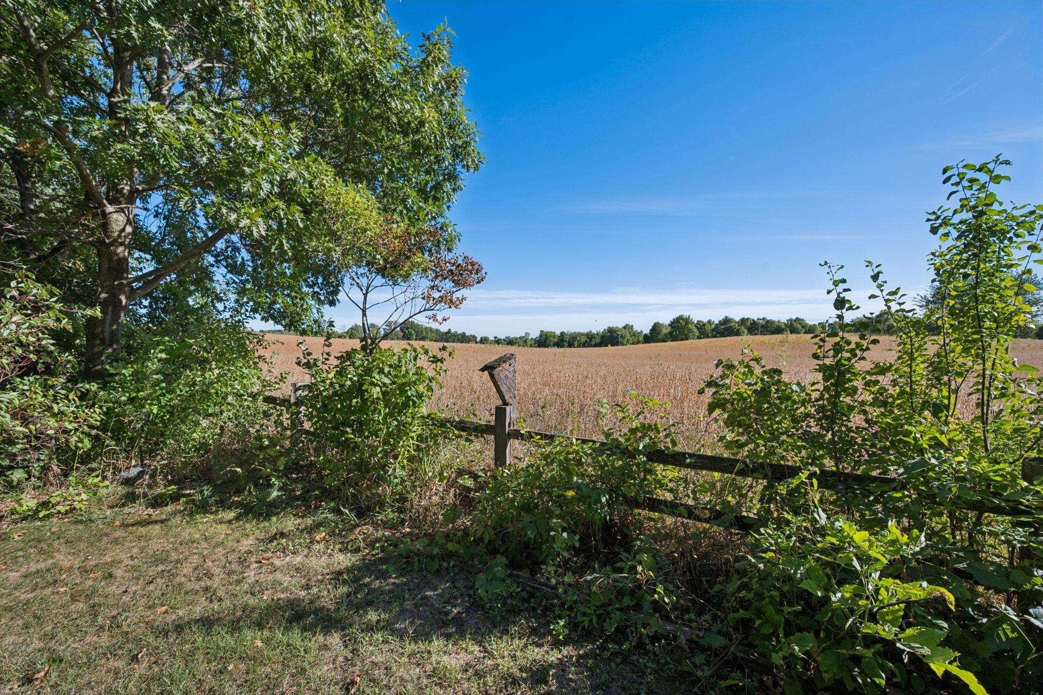 View of Residential at 7572 Garrison Avenue, Monticello MN 55362, Monticello (8 of 94) - Mike Wilen | Minnesota Team Real Estate