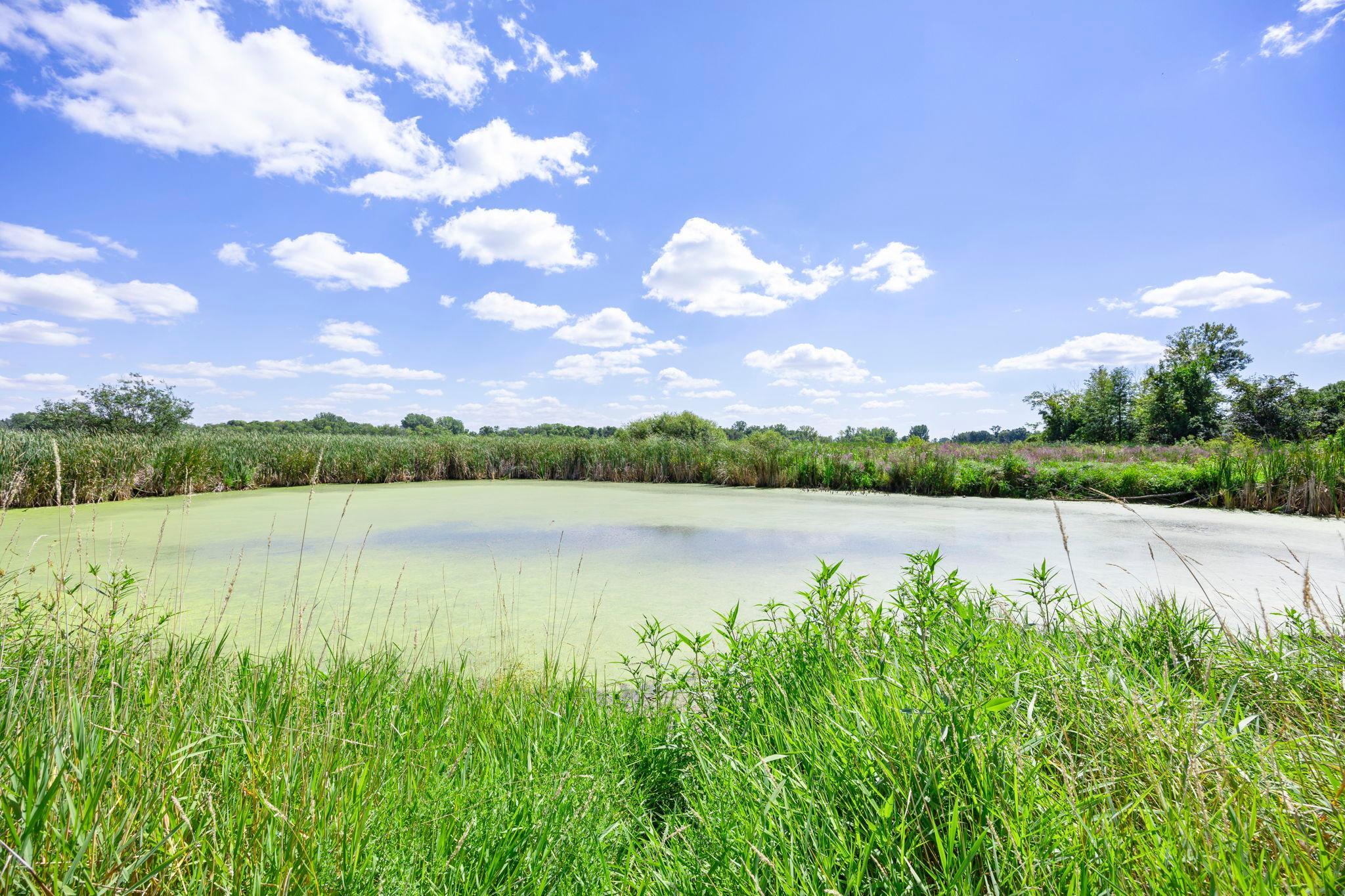 View of Residential at 12020 Tilton Trail, Rogers MN 55374, Rogers (47 of 51) - Mike Wilen | Minnesota Team Real Estate