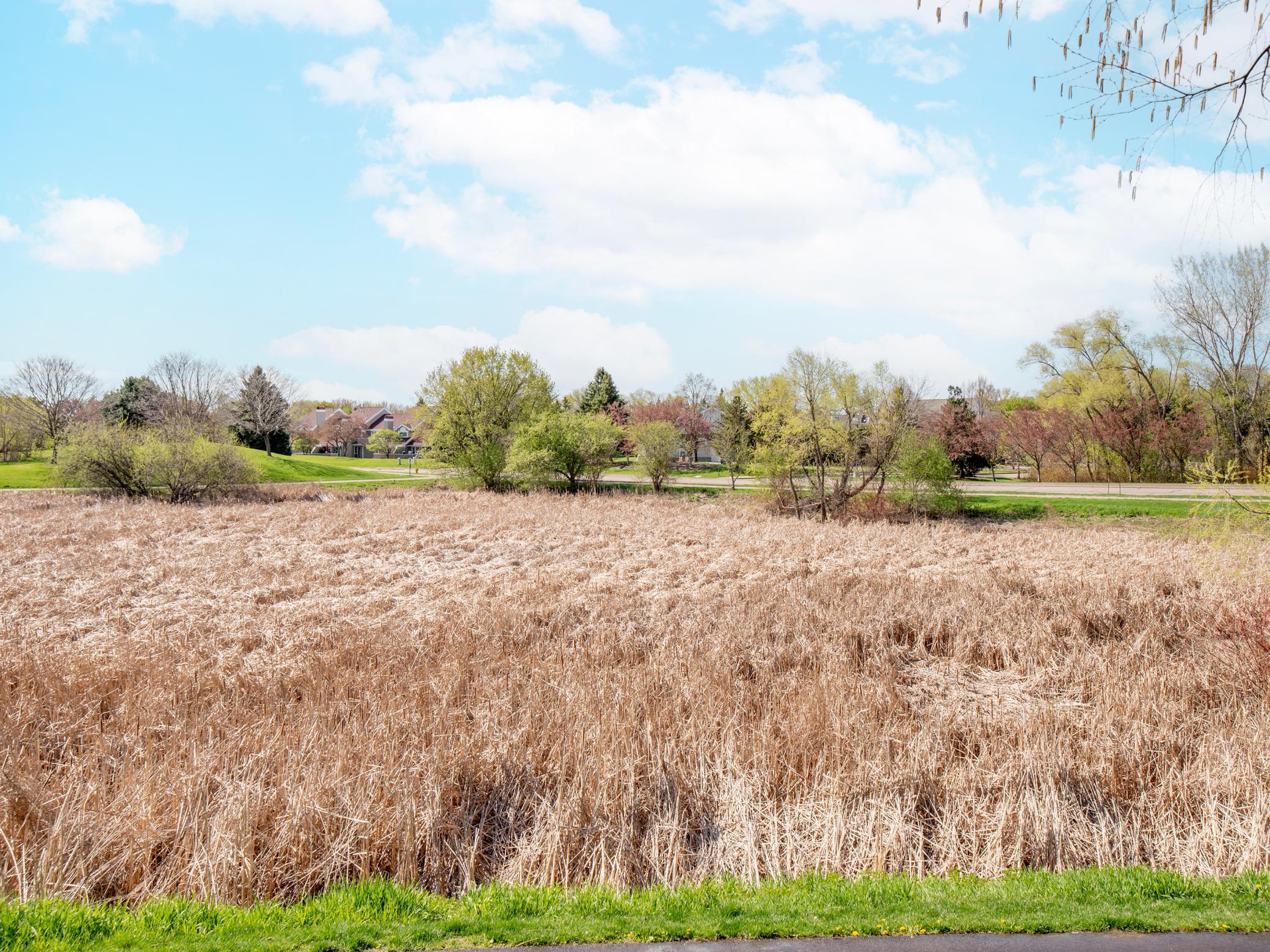 View of Residential at 15805 24th Avenue #F, Plymouth MN 55447, Plymouth (24 of 29) - Mike Wilen | Minnesota Team Real Estate