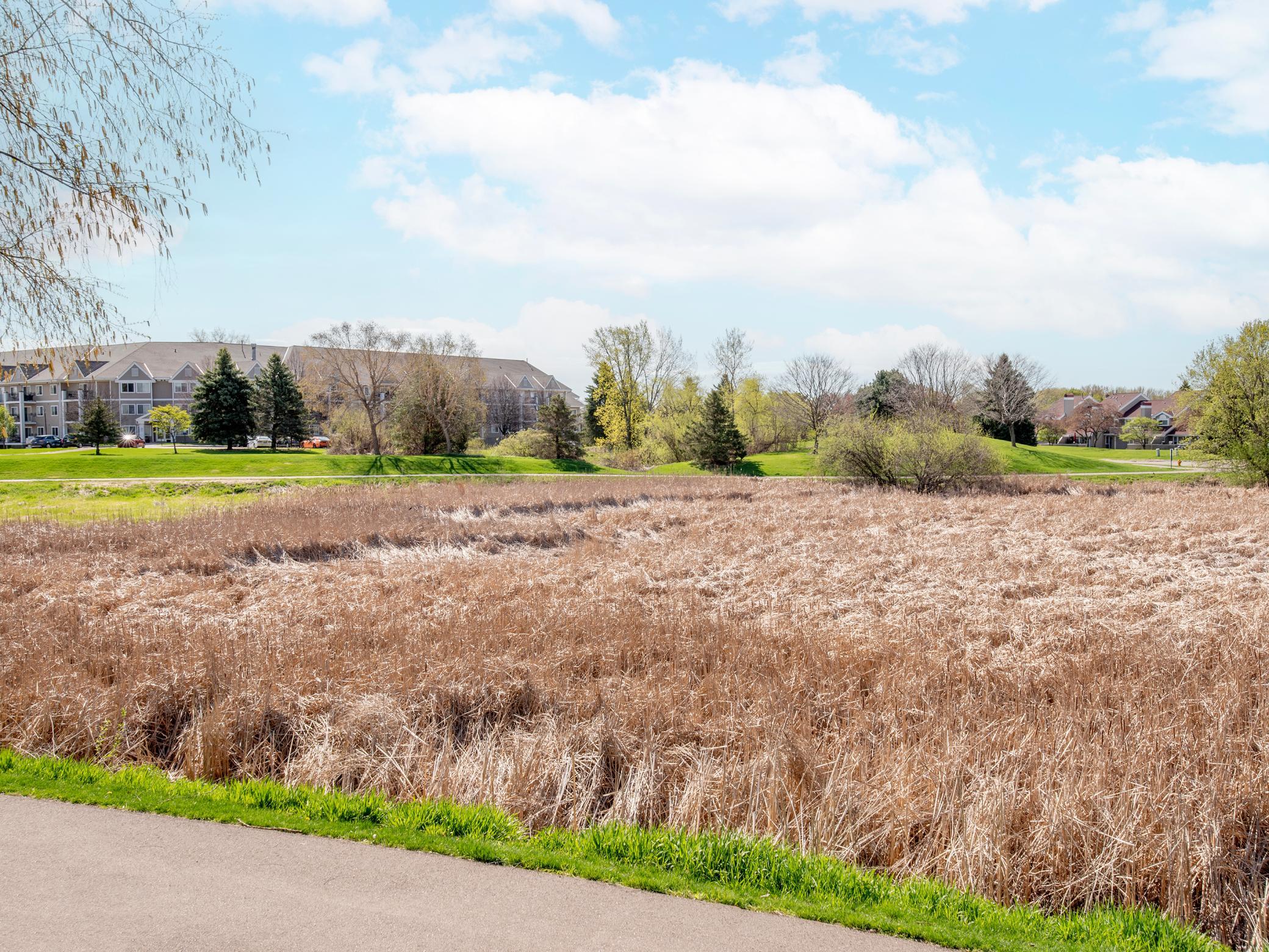 View of Residential at 15805 24th Avenue #F, Plymouth MN 55447, Plymouth (25 of 29) - Mike Wilen | Minnesota Team Real Estate