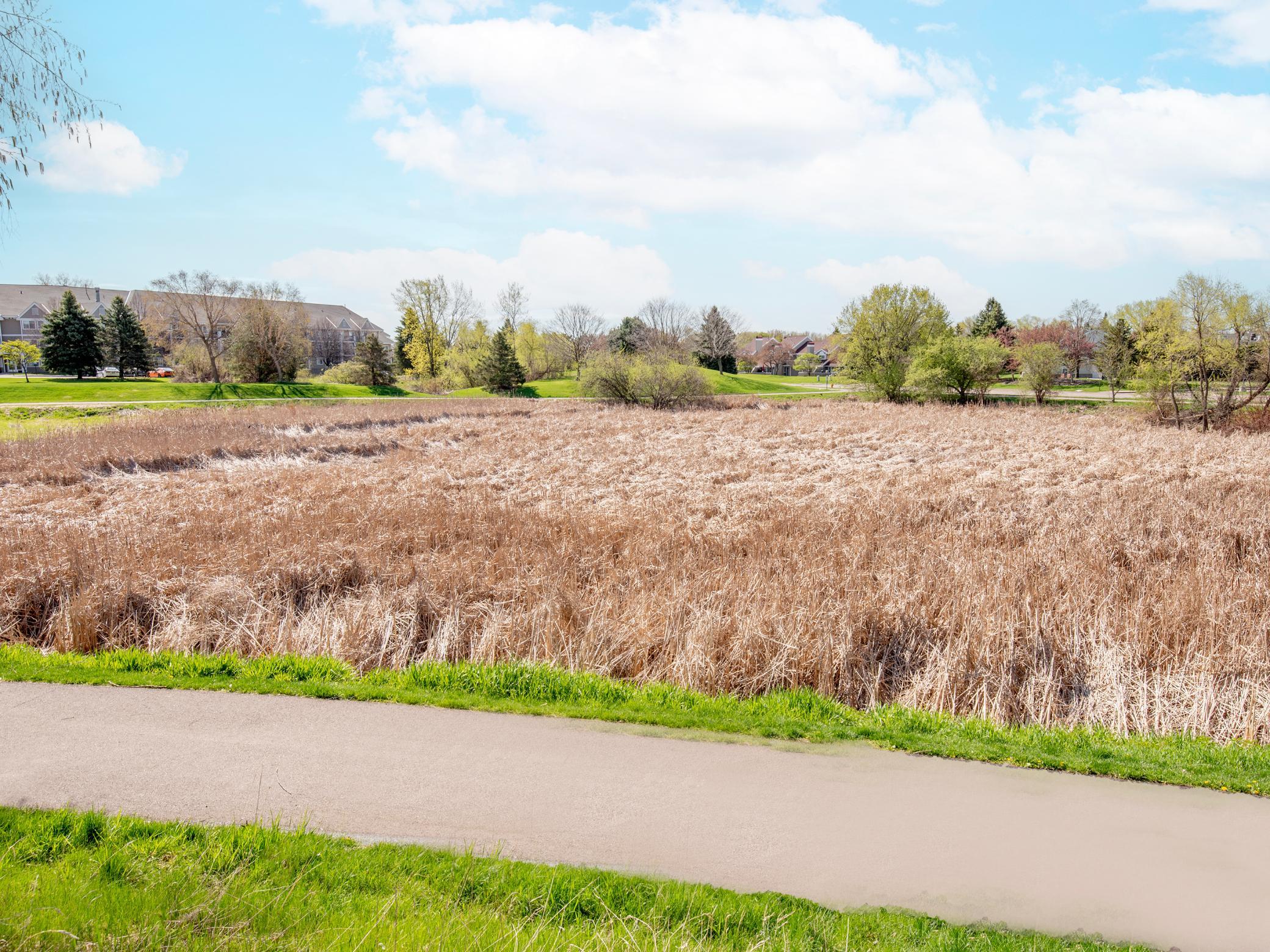 View of Residential at 15805 24th Avenue #F, Plymouth MN 55447, Plymouth (26 of 29) - Mike Wilen | Minnesota Team Real Estate