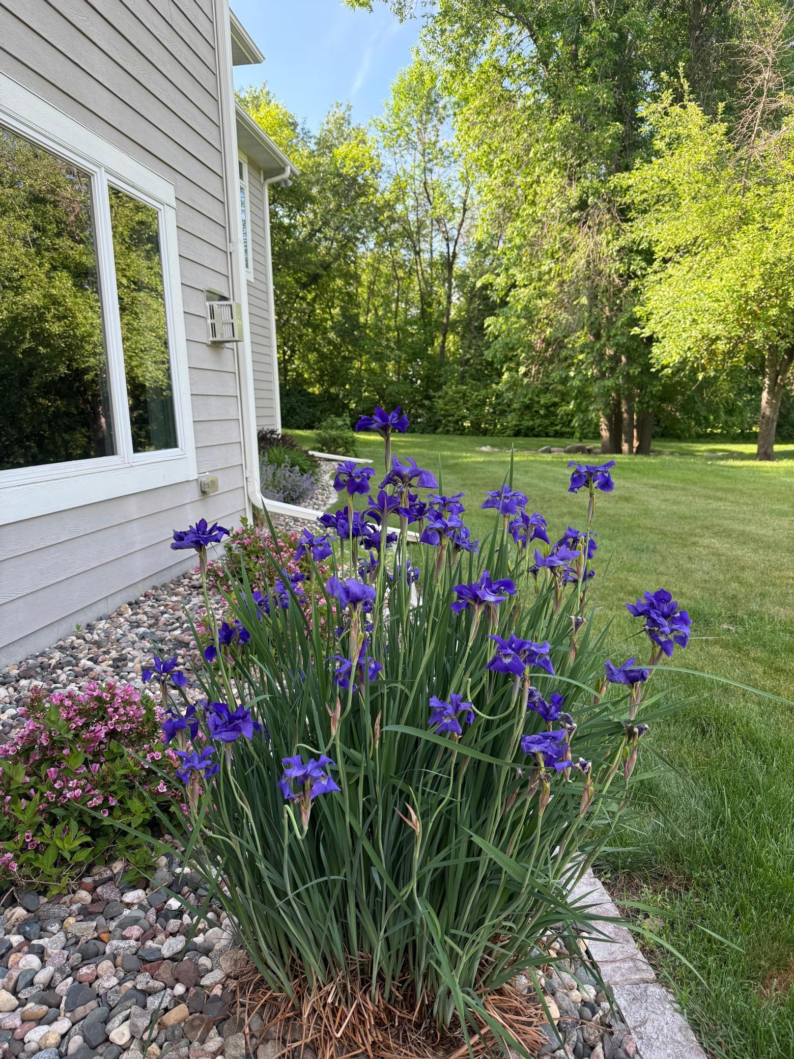 View of Residential at 1611 Pulaski Road, Buffalo MN 55313, Buffalo (51 of 80) - Mike Wilen | Minnesota Team Real Estate