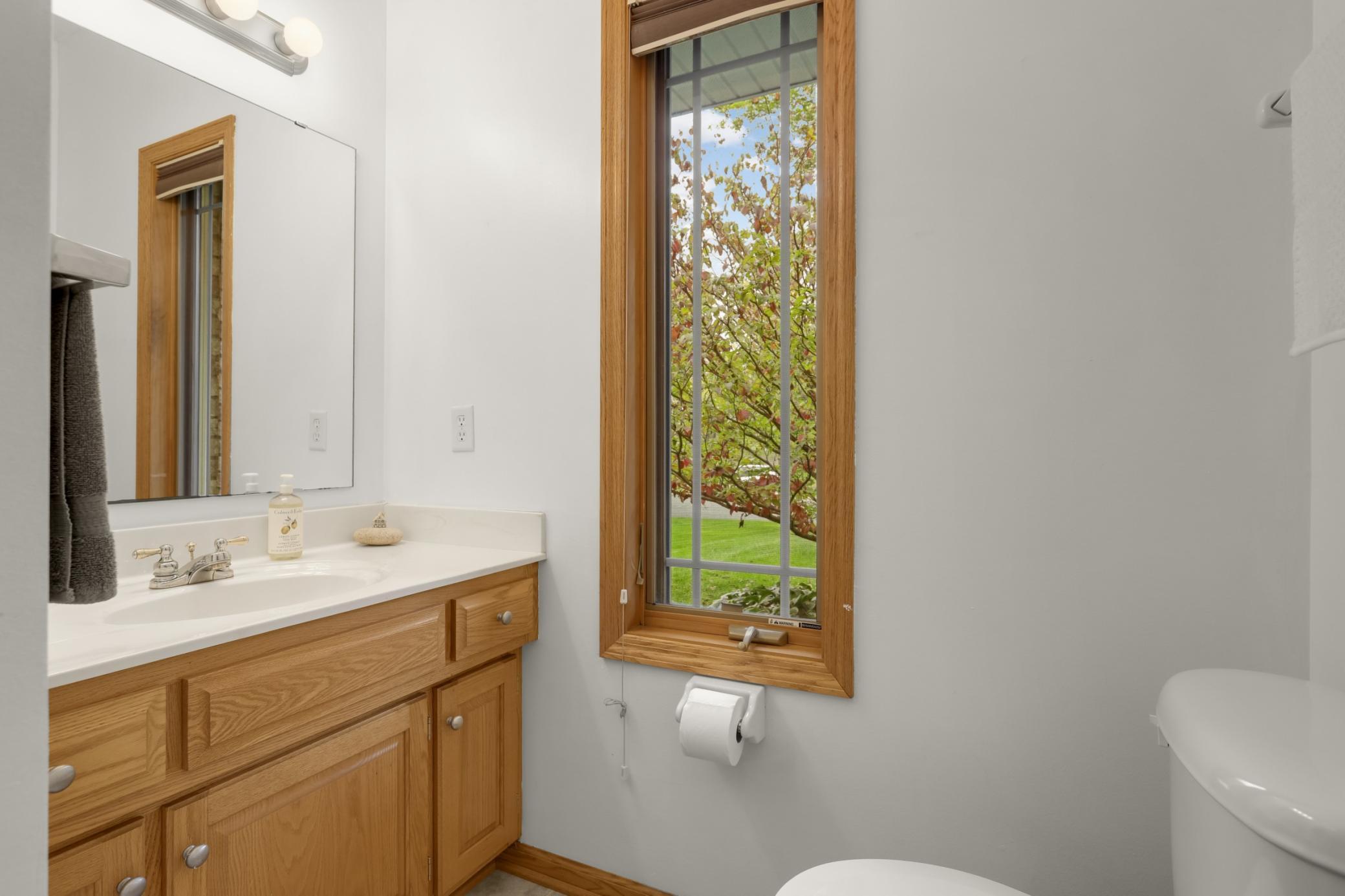 View of Residential at 1443 Riverbluff Drive, Hastings MN 55033, Hastings (29 of 44) - Mike Wilen | Minnesota Team Real Estate