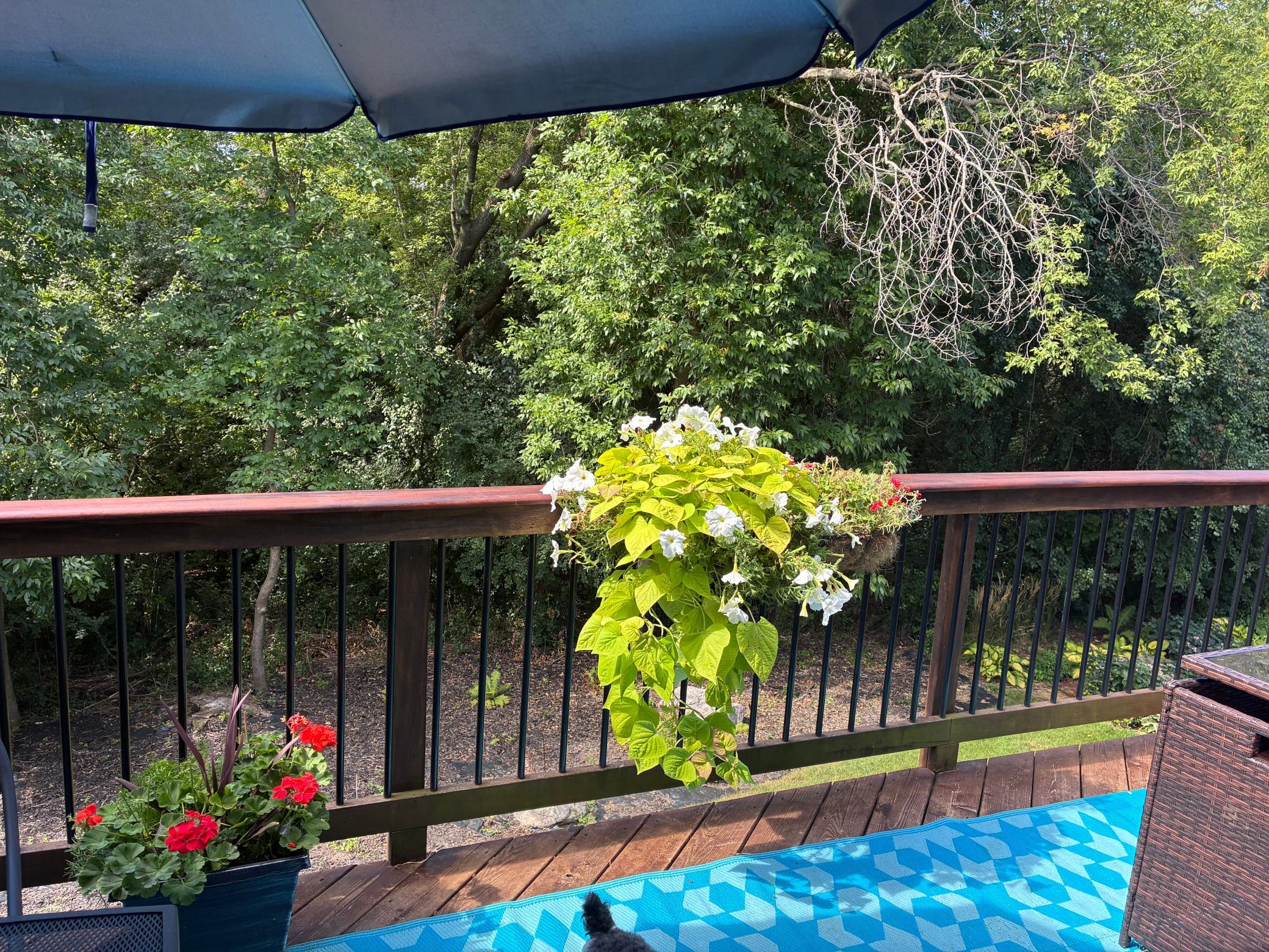 View of Residential at 18385 Creeks Bend Drive, Minnetonka MN 55345, Minnetonka (30 of 41) - Mike Wilen | Minnesota Team Real Estate