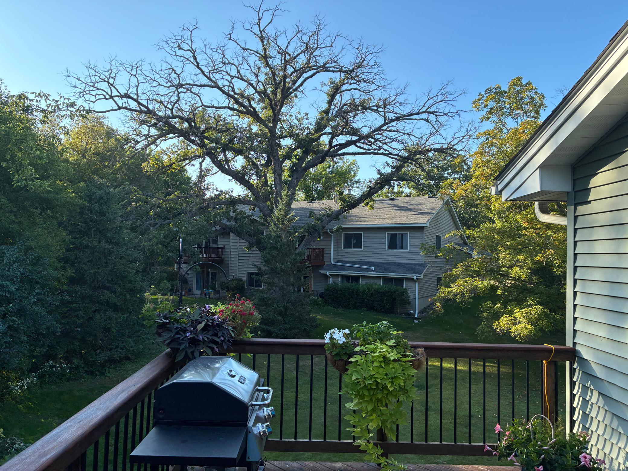 View of Residential at 18385 Creeks Bend Drive, Minnetonka MN 55345, Minnetonka (35 of 41) - Mike Wilen | Minnesota Team Real Estate
