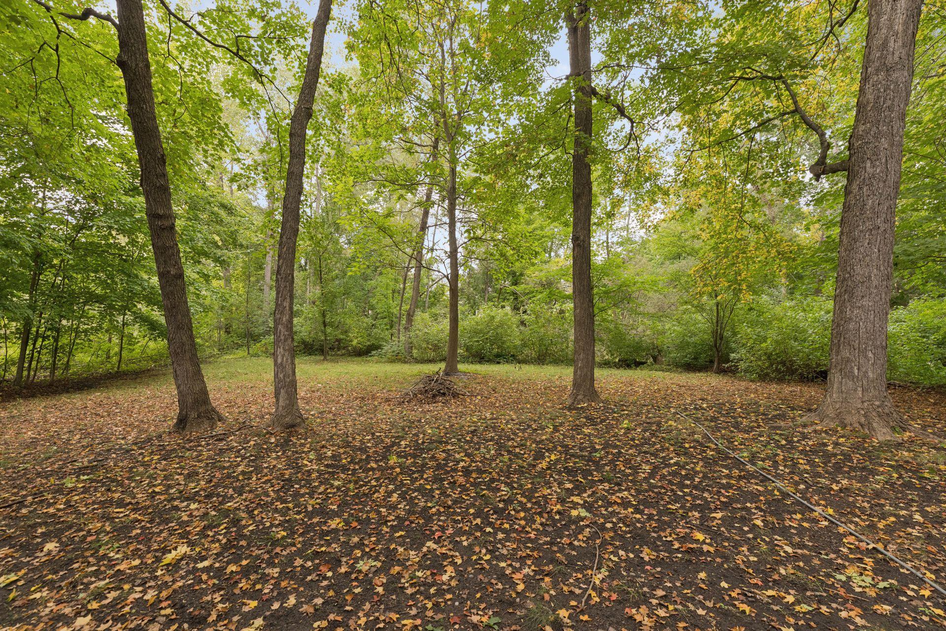 View of Residential at 15920 37th Avenue, Plymouth MN 55446, Plymouth (66 of 72) - Mike Wilen | Minnesota Team Real Estate