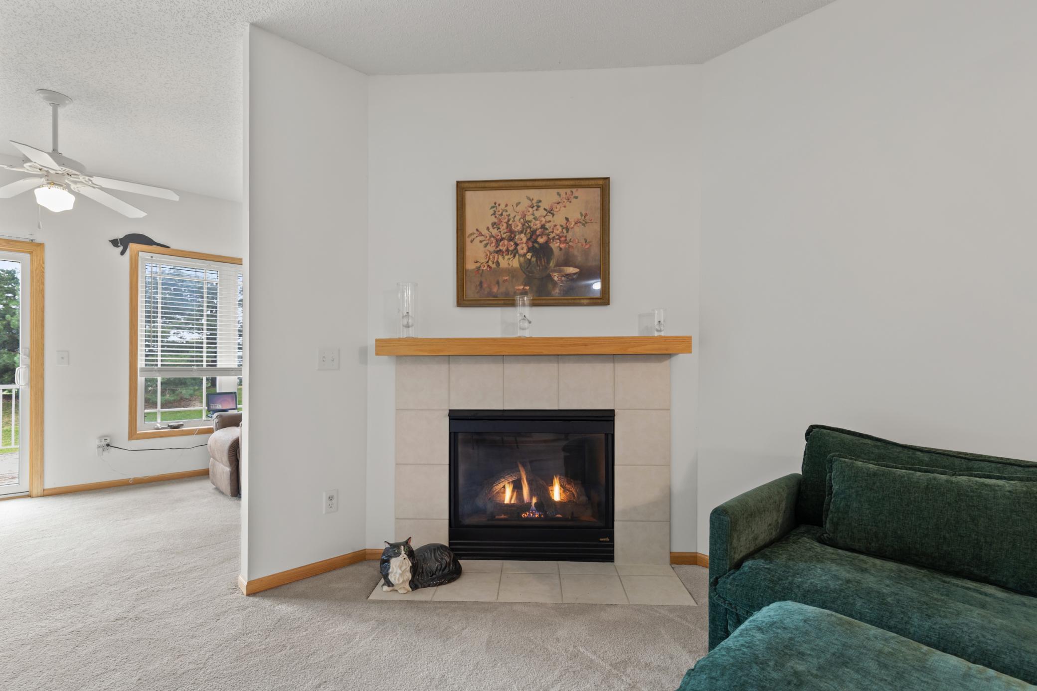 View of Residential at 6477 Maclaren Avenue, Otsego MN 55301, Otsego (7 of 29) - Mike Wilen | Minnesota Team Real Estate
