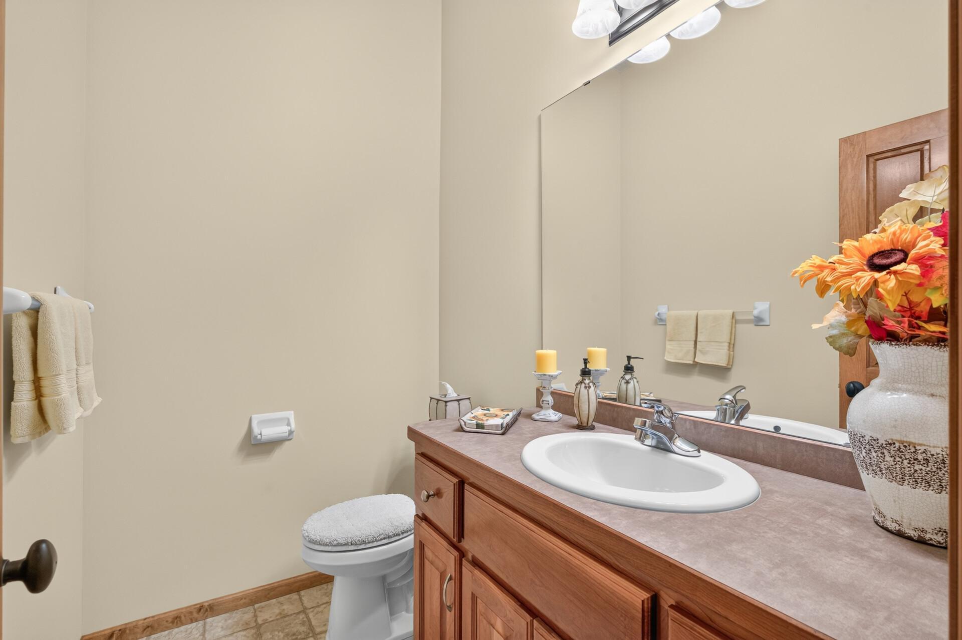 View of Residential at 14625 Quicksilver Street, Ramsey MN 55303, Ramsey (20 of 37) - Mike Wilen | Minnesota Team Real Estate