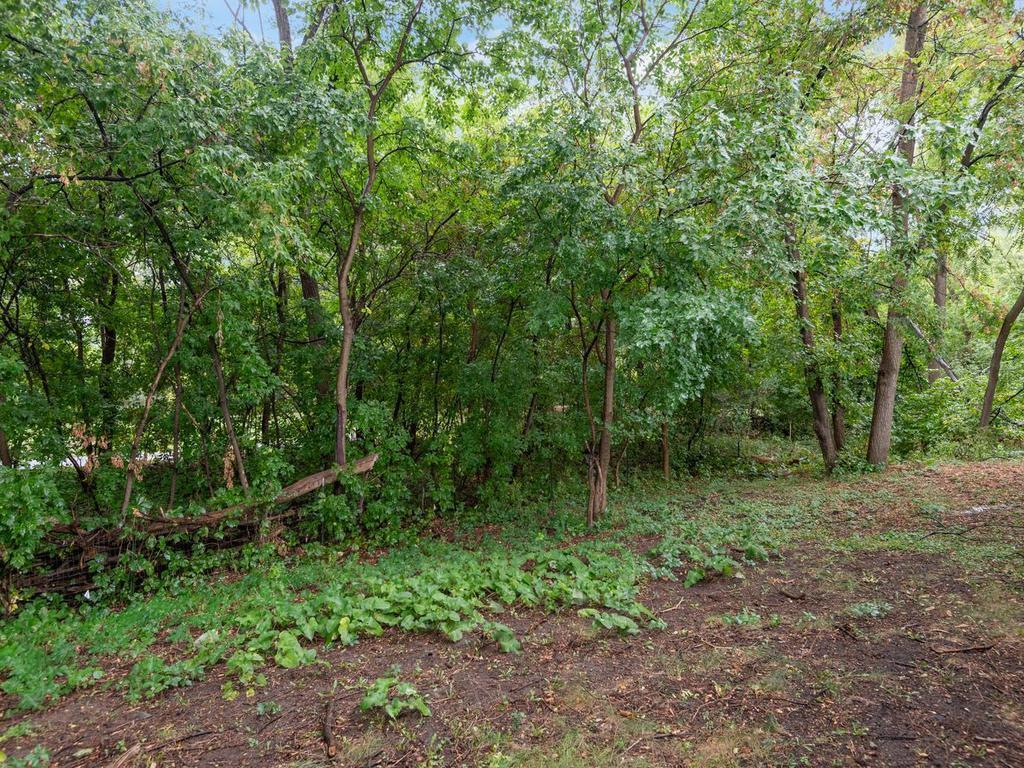 View of Residential at 2317 53rd Avenue, Minneapolis MN 55430, Minneapolis (25 of 30) - Mike Wilen | Minnesota Team Real Estate