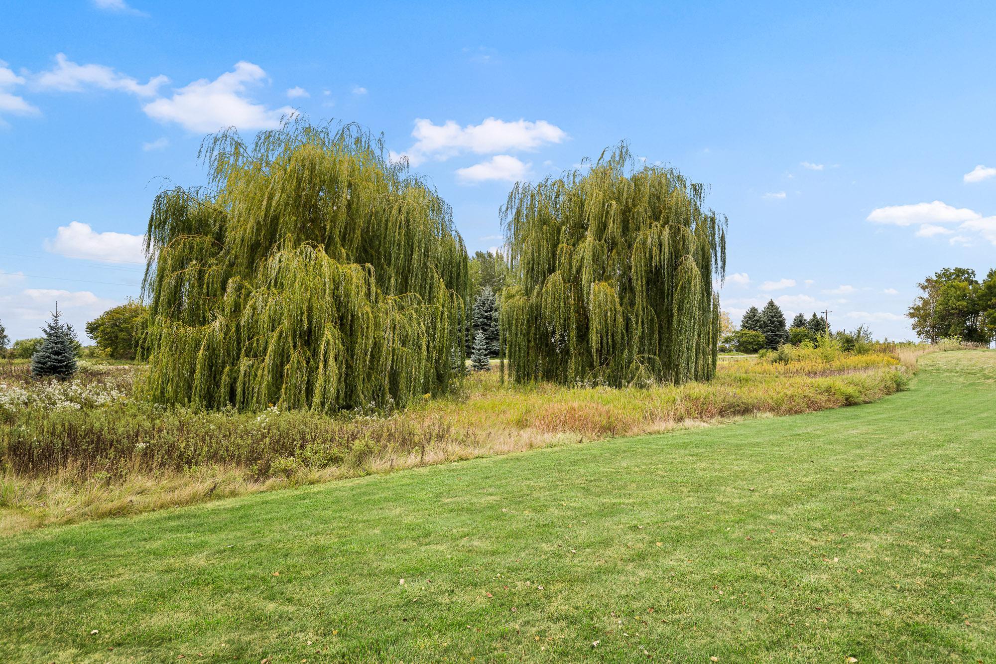 View of Residential at 11003 Wesley Drive, Rogers MN 55374, Rogers (53 of 75) - Mike Wilen | Minnesota Team Real Estate