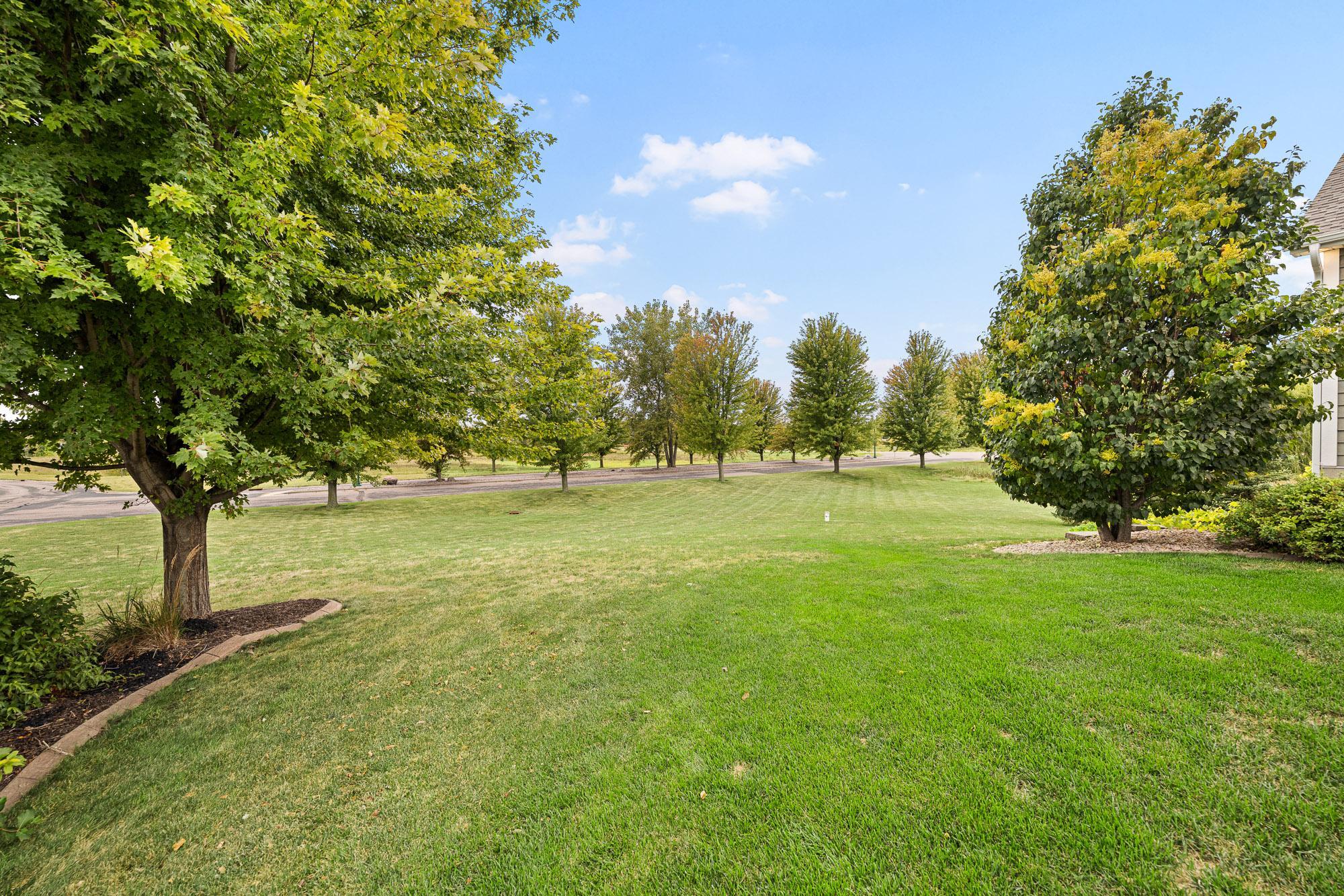 View of Residential at 11003 Wesley Drive, Rogers MN 55374, Rogers (51 of 75) - Mike Wilen | Minnesota Team Real Estate