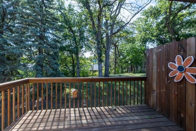 View of Residential at 1325 4th Street, Hastings MN 55033, Hastings (18 of 21) - Mike Wilen | Minnesota Team Real Estate