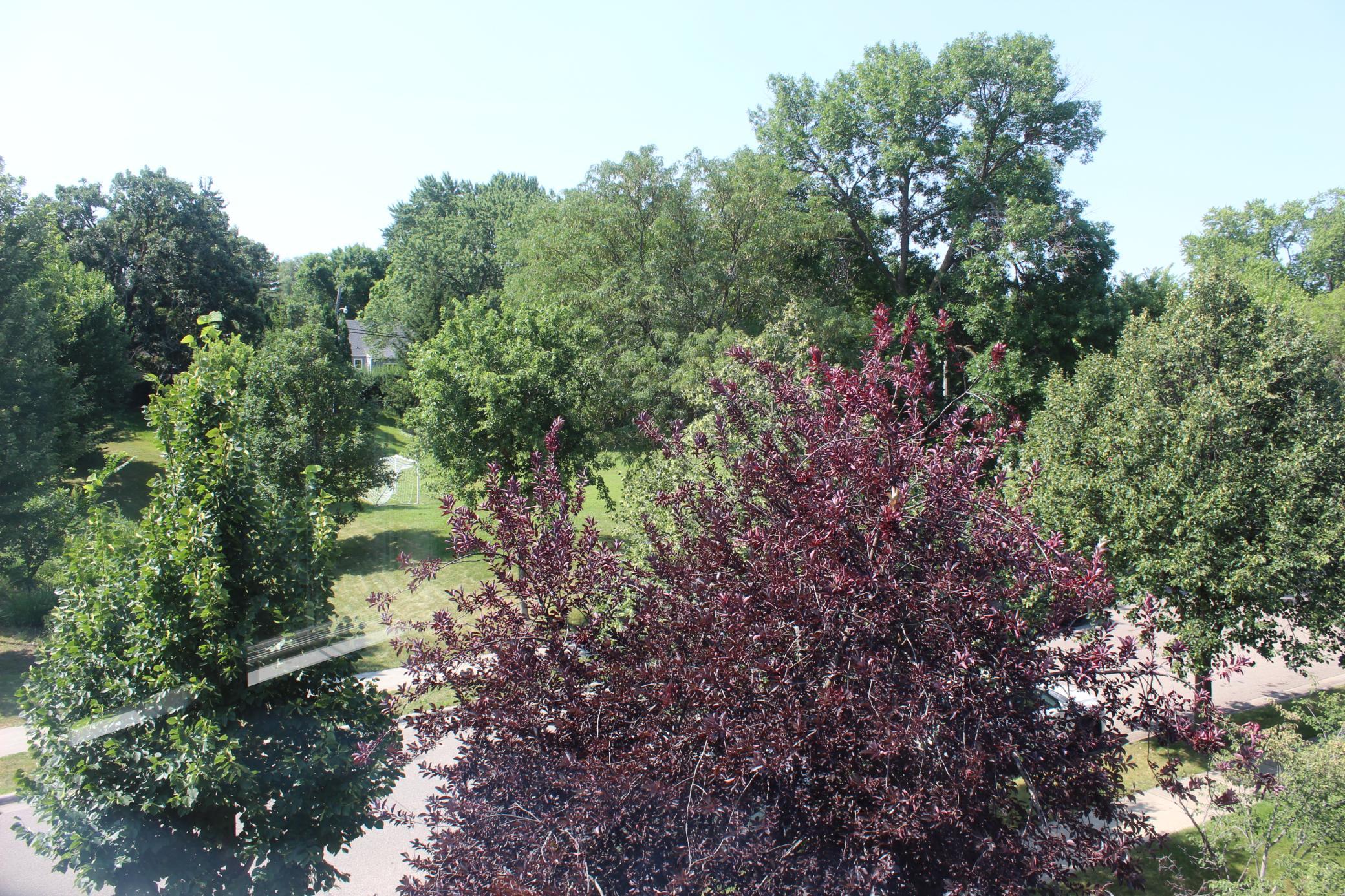 View of Residential at 3712 Wooddale Avenue #10, Saint Louis Park MN 55416, Saint Louis Park (10 of 21) - Mike Wilen | Minnesota Team Real Estate