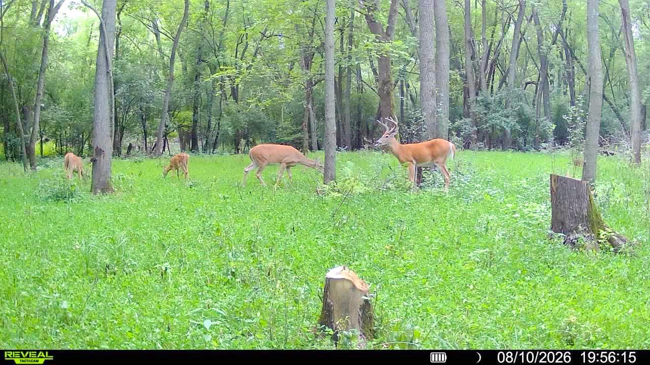 View of Land at 0000 17th St, Clear Lake MN 55319, Clear Lake (44 of 47) - Mike Wilen | Minnesota Team Real Estate