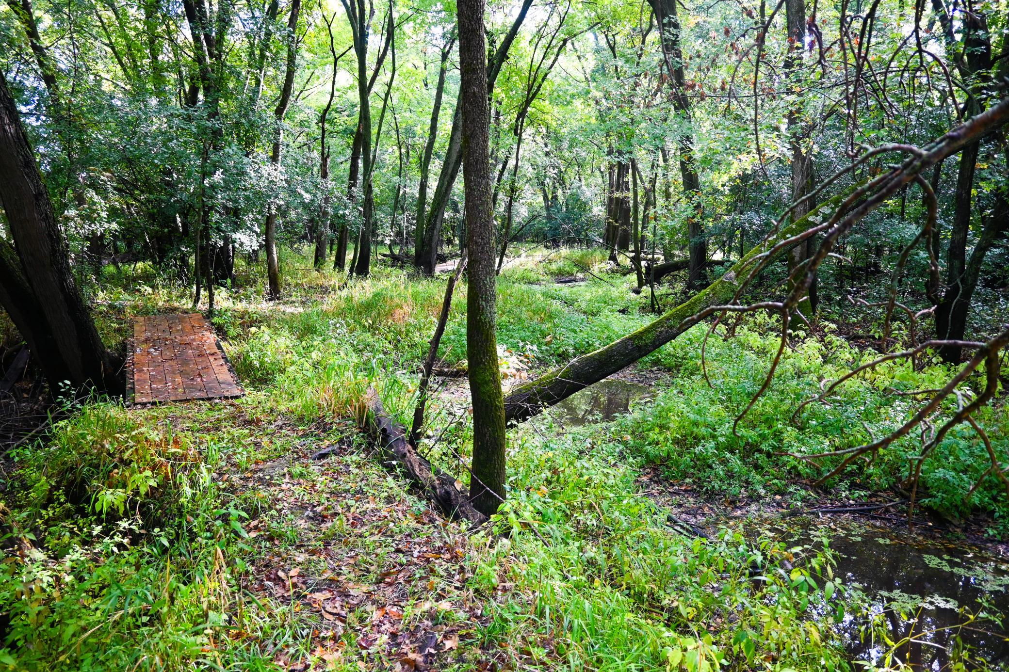 View of Land at 0000 17th St, Clear Lake MN 55319, Clear Lake (33 of 47) - Mike Wilen | Minnesota Team Real Estate