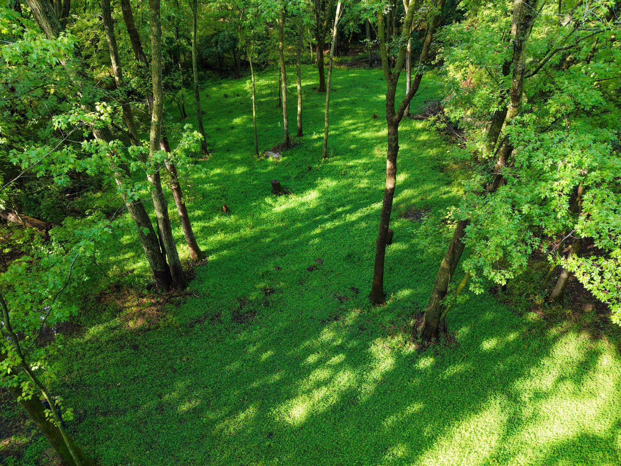 View of Land at 0000 17th St, Clear Lake MN 55319, Clear Lake (30 of 47) - Mike Wilen | Minnesota Team Real Estate