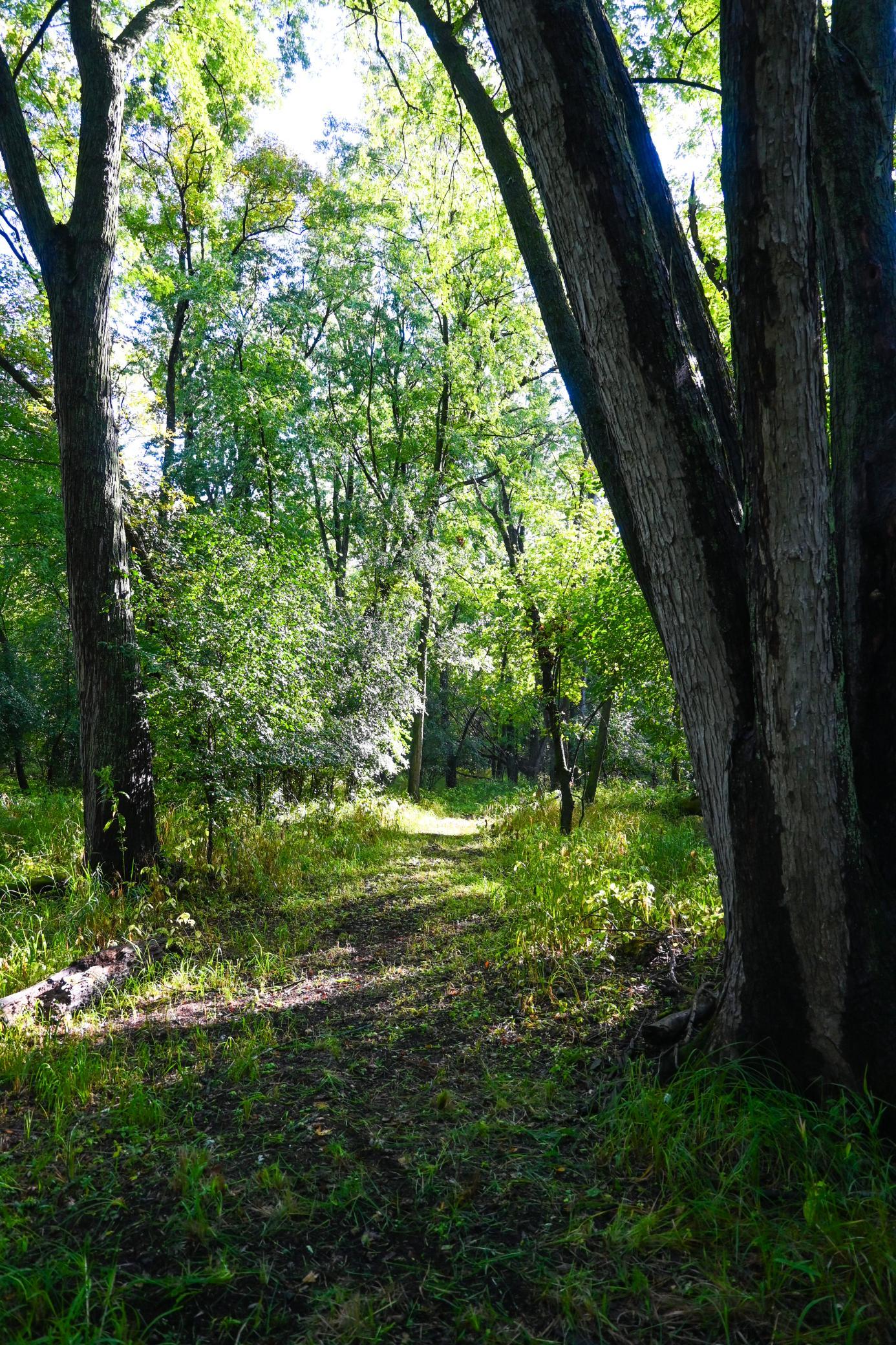 View of Land at 0000 17th St, Clear Lake MN 55319, Clear Lake (28 of 47) - Mike Wilen | Minnesota Team Real Estate