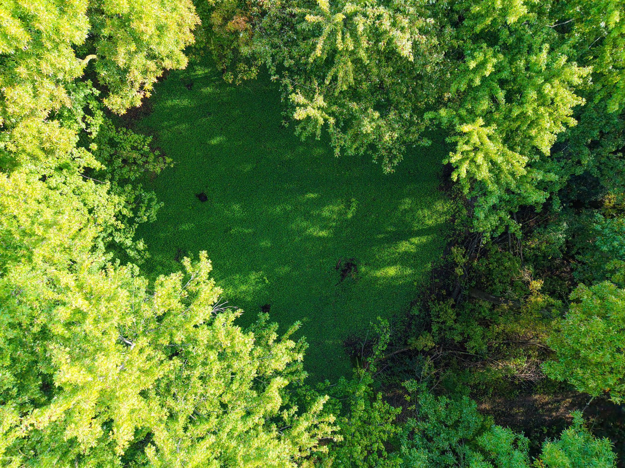 View of Land at 0000 17th St, Clear Lake MN 55319, Clear Lake (26 of 47) - Mike Wilen | Minnesota Team Real Estate