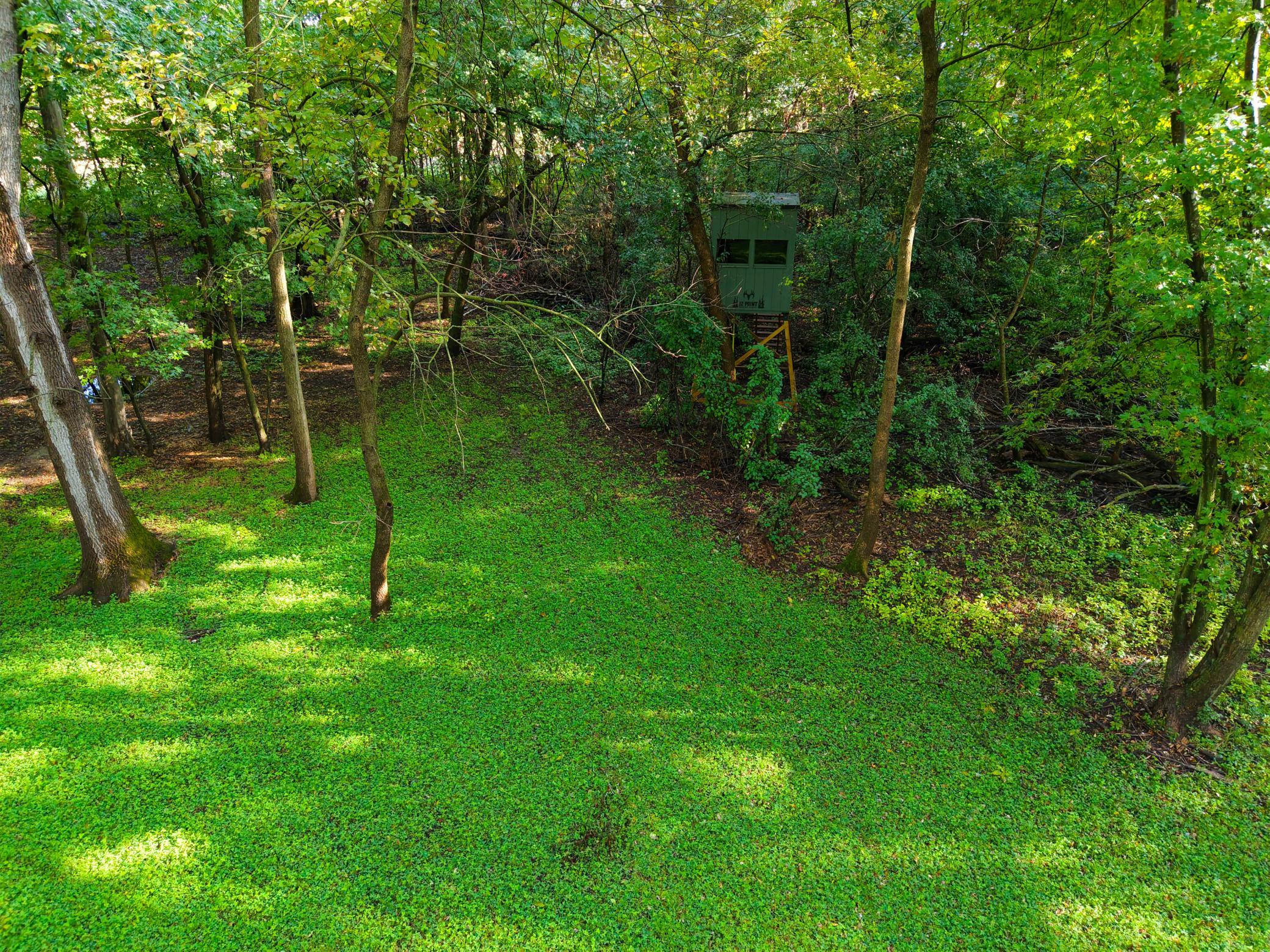 View of Land at 0000 17th St, Clear Lake MN 55319, Clear Lake (24 of 47) - Mike Wilen | Minnesota Team Real Estate