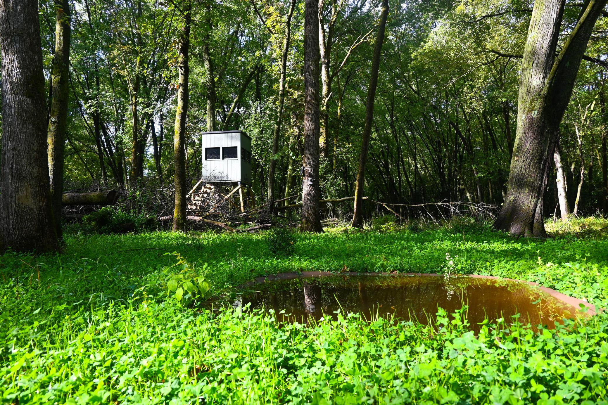 View of Land at 0000 17th St, Clear Lake MN 55319, Clear Lake (23 of 47) - Mike Wilen | Minnesota Team Real Estate