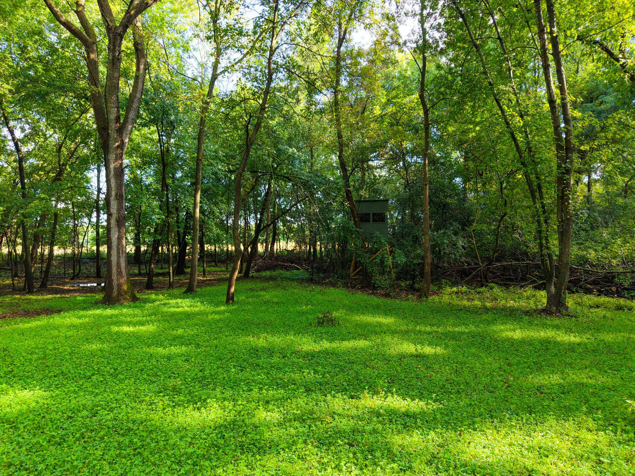 View of Land at 0000 17th St, Clear Lake MN 55319, Clear Lake (22 of 47) - Mike Wilen | Minnesota Team Real Estate