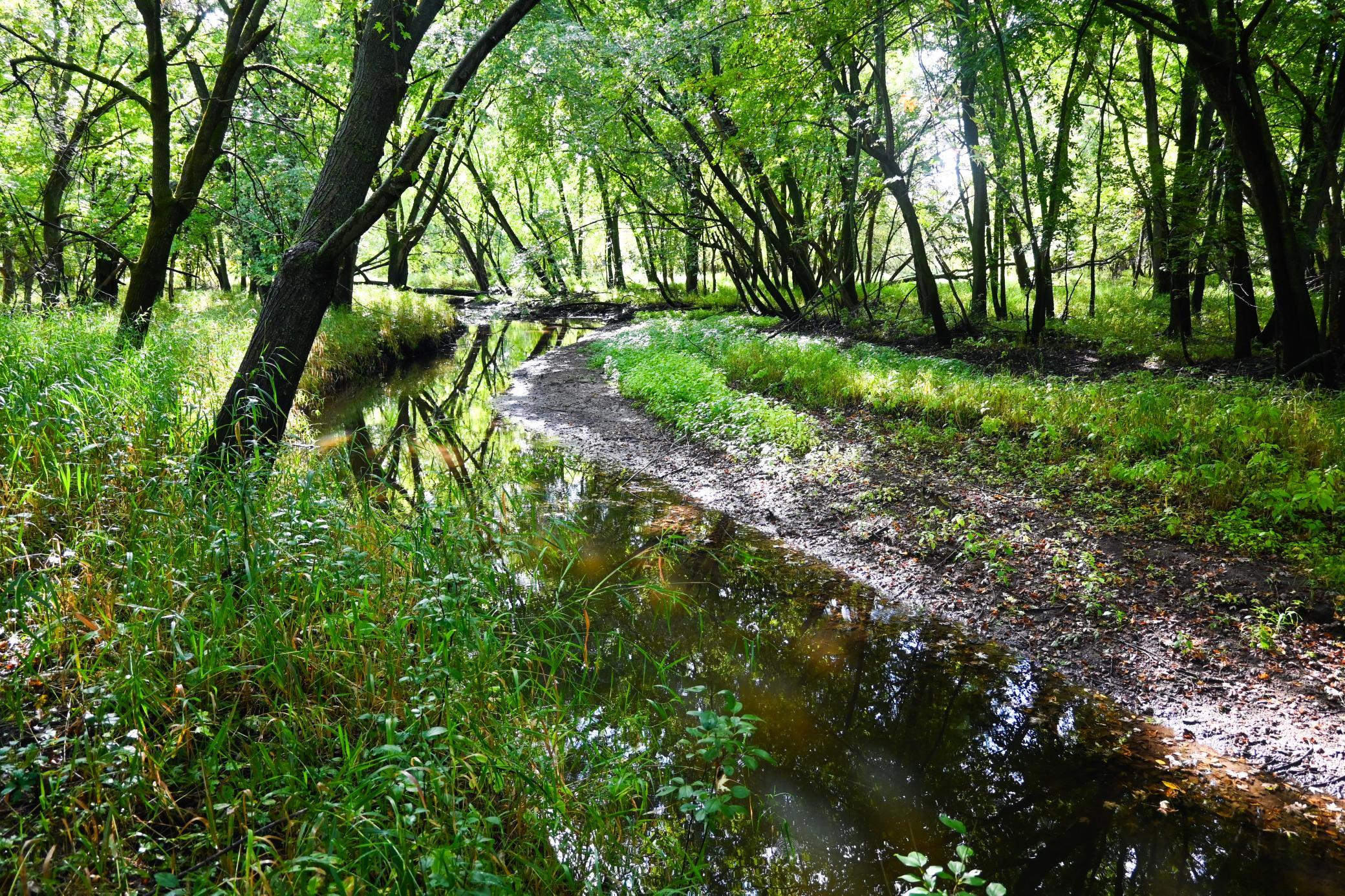 View of Land at 0000 17th St, Clear Lake MN 55319, Clear Lake (21 of 47) - Mike Wilen | Minnesota Team Real Estate