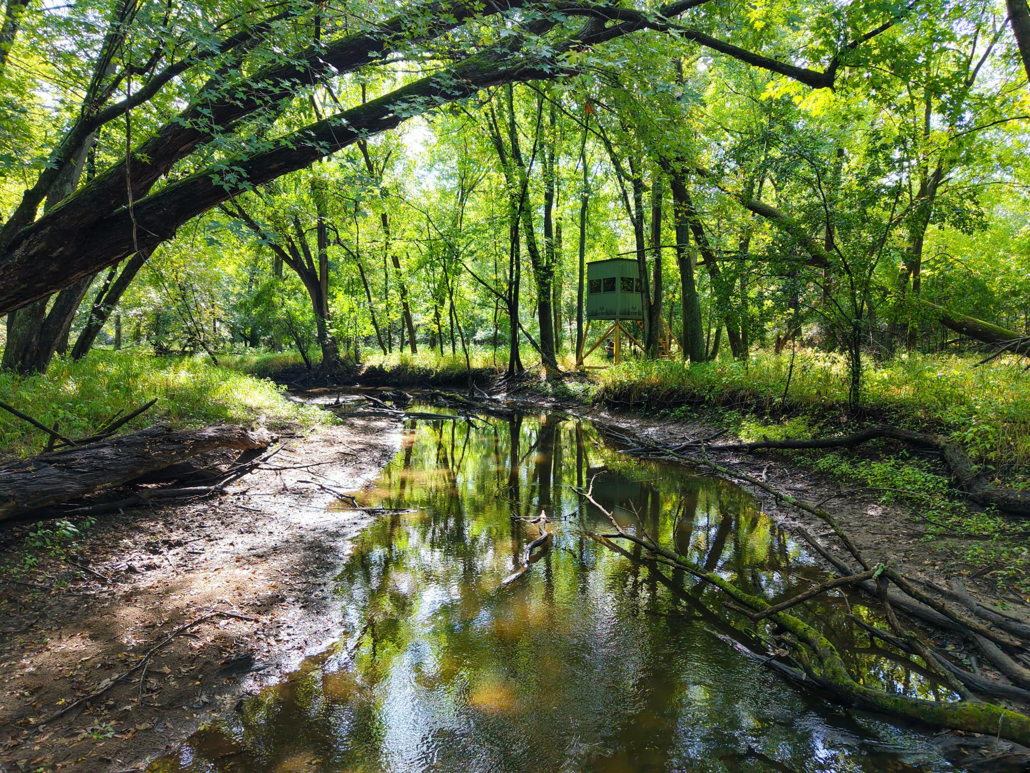 View of Land at 0000 17th St, Clear Lake MN 55319, Clear Lake (18 of 47) - Mike Wilen | Minnesota Team Real Estate