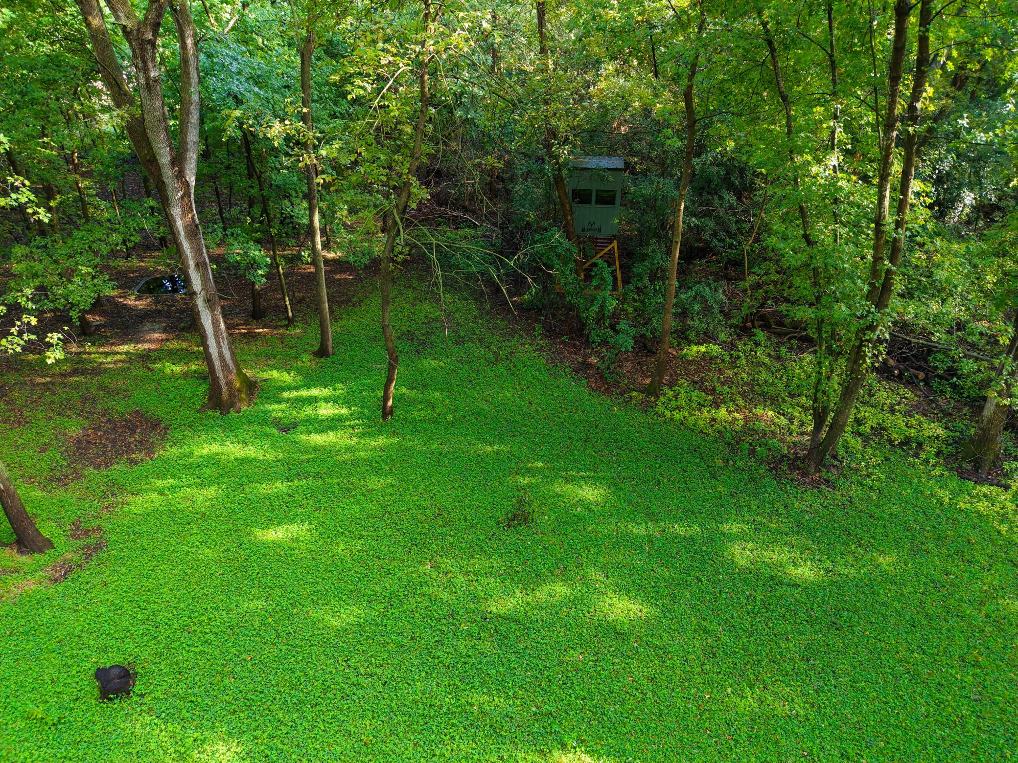 View of Land at 0000 17th St, Clear Lake MN 55319, Clear Lake (12 of 47) - Mike Wilen | Minnesota Team Real Estate