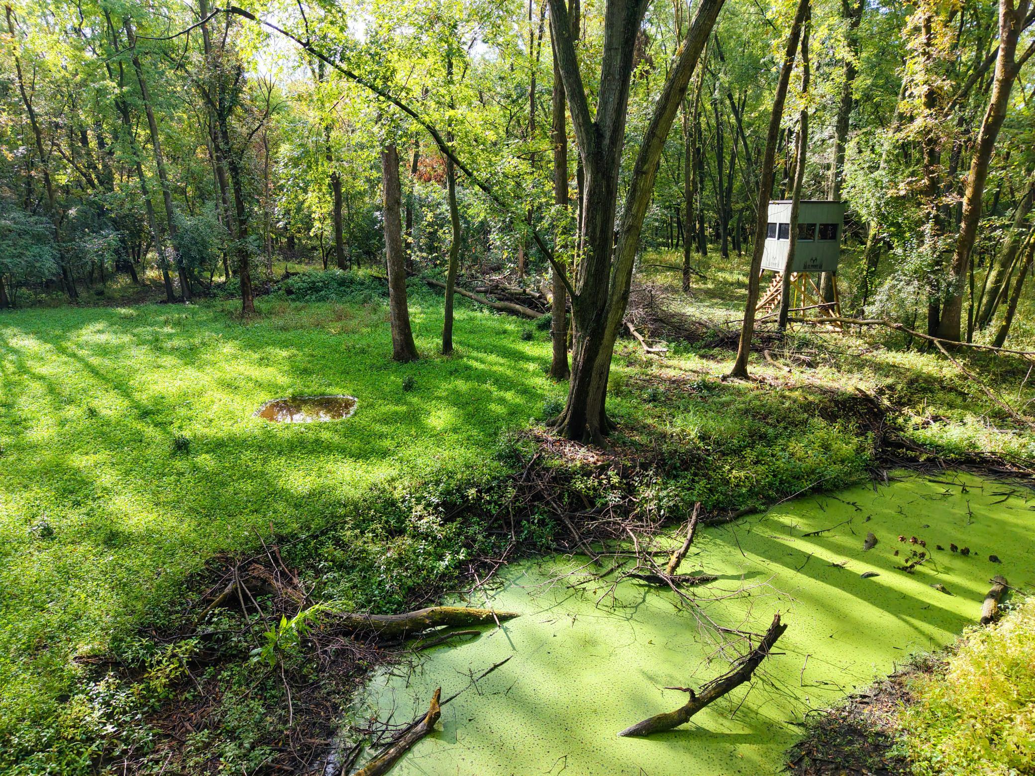 View of Land at 0000 17th St, Clear Lake MN 55319, Clear Lake (11 of 47) - Mike Wilen | Minnesota Team Real Estate